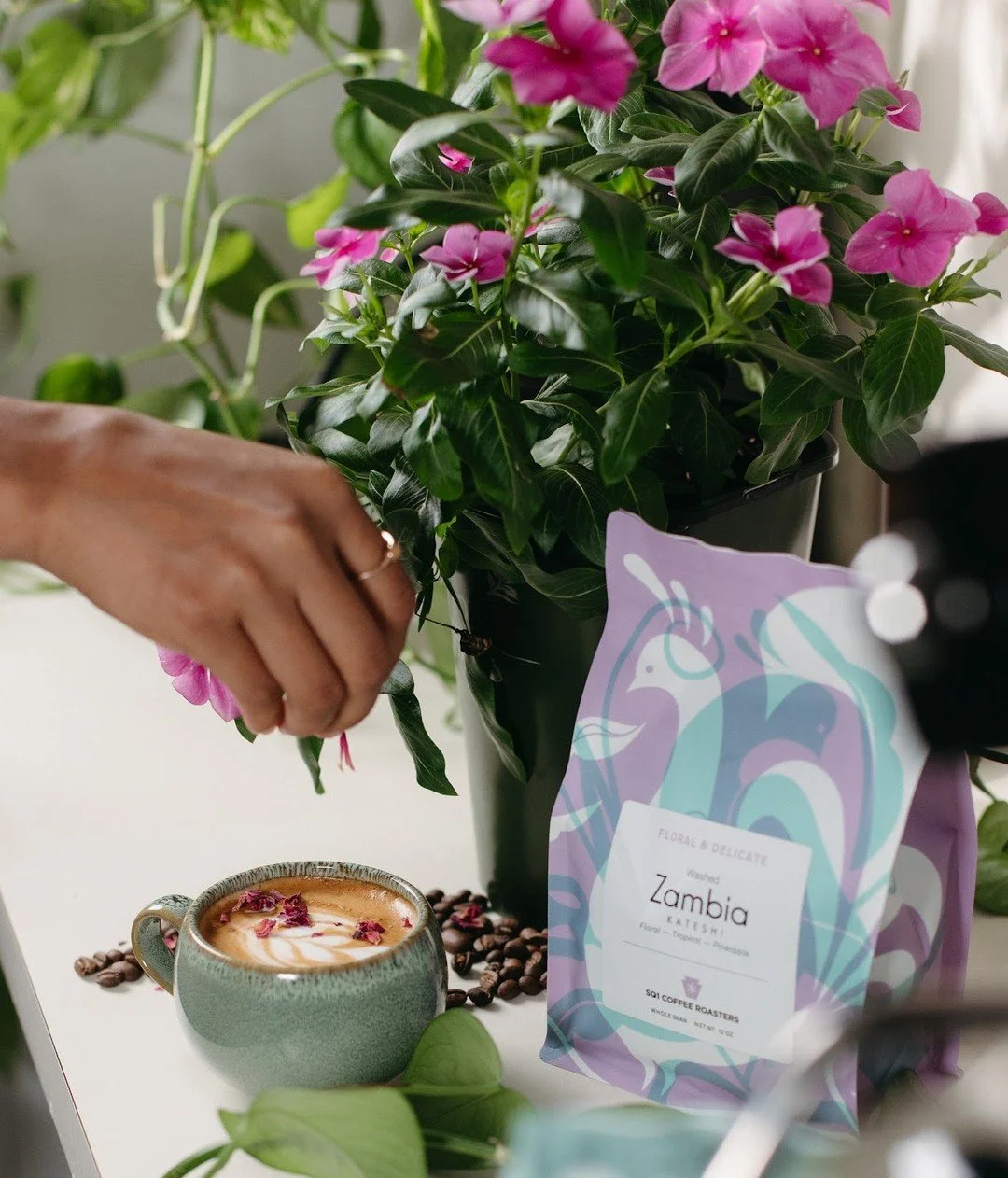 Floral. Delicate. Complex. 🌺

Grown in Zambia&rsquo;s northern province, this washed coffee from Kateshi Estate combines medium acidity with a silky body, featuring notes of nectarine, pineapple, and a gentle floral sweetness.

Behind every cup is a