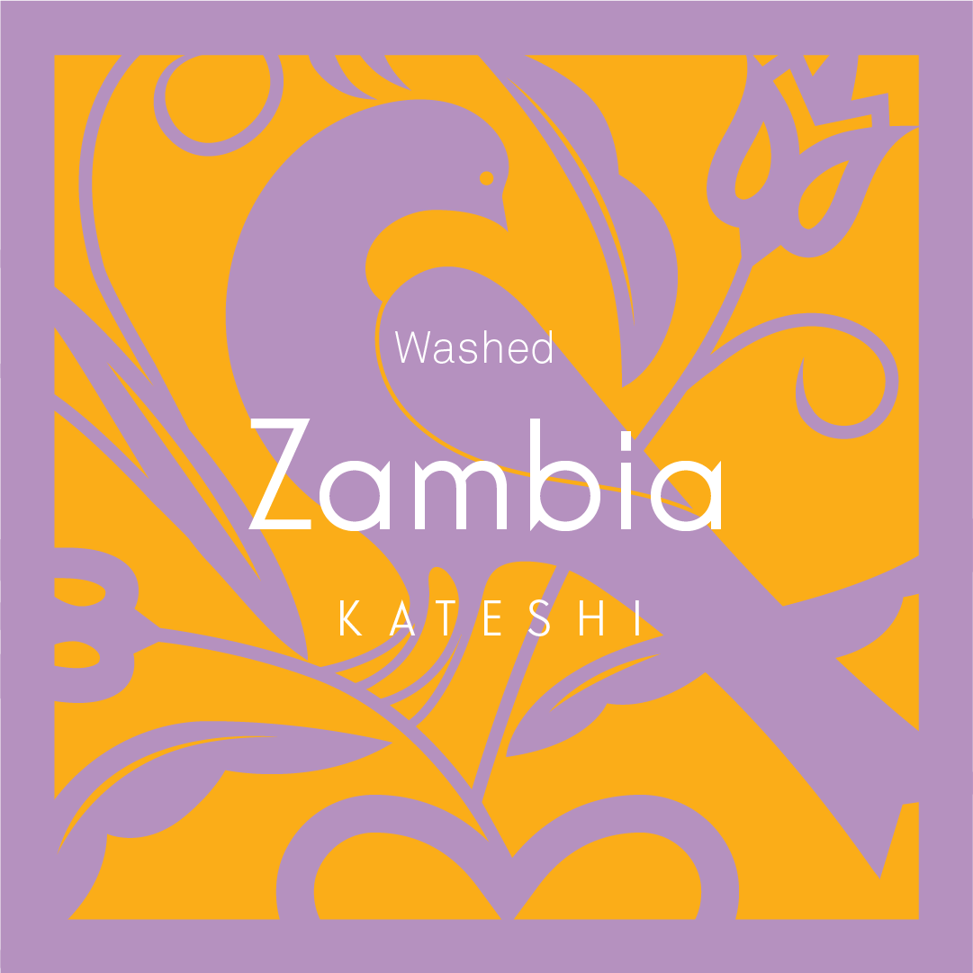 zambia-kateshi.png