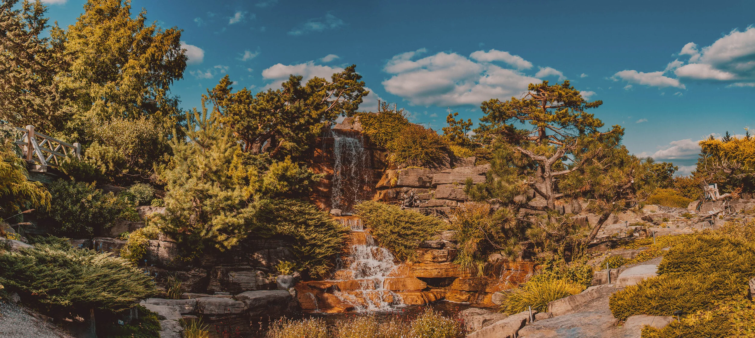 DSC_9869-Edit.jpg