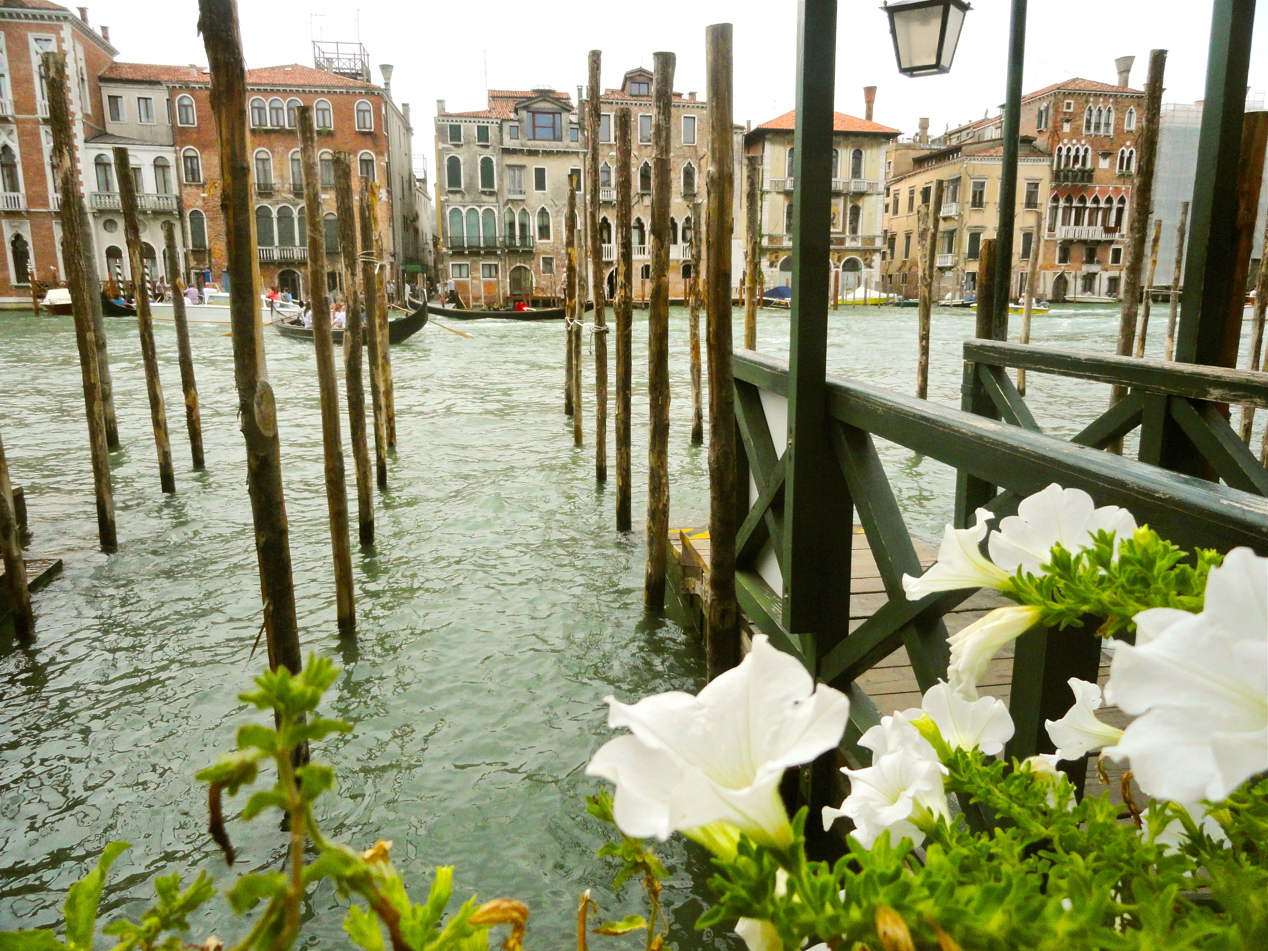 venice.jpg
