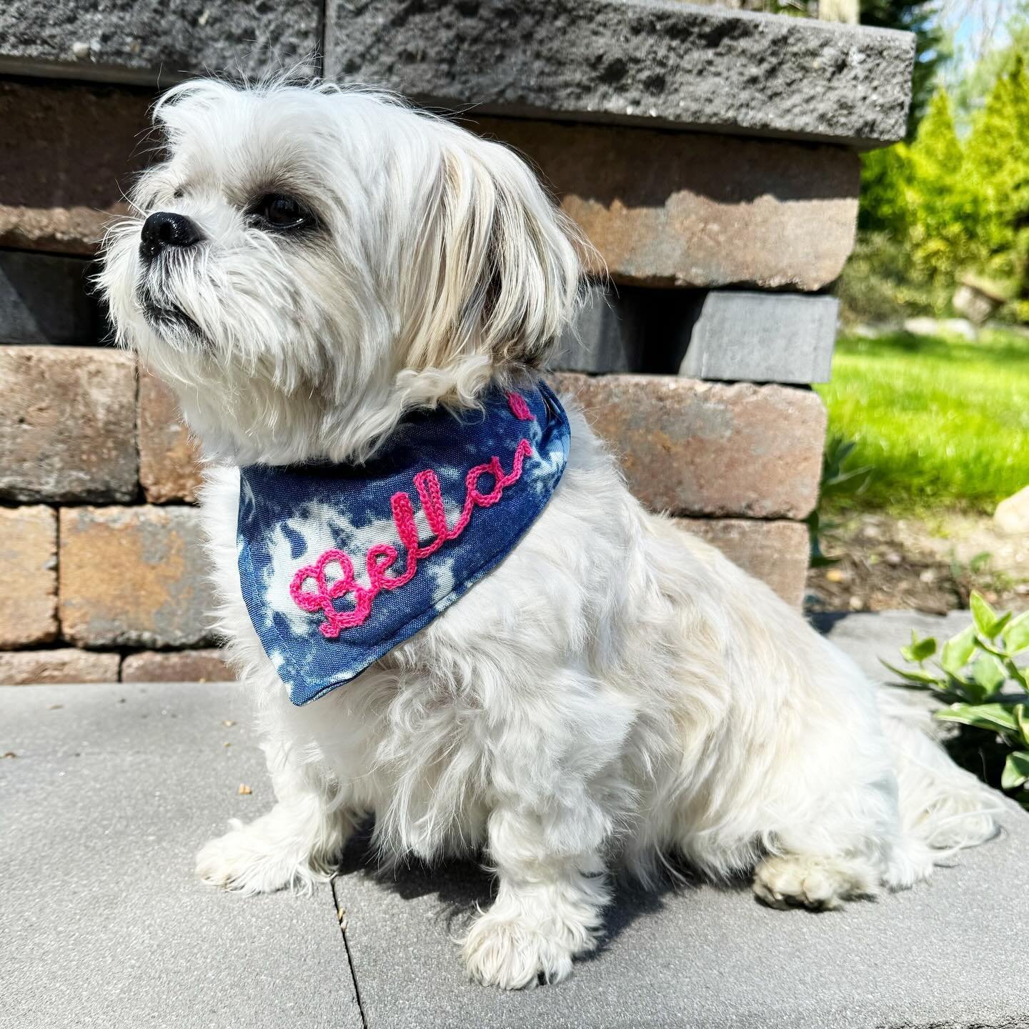NEW custom embroidered dog bandanas 🩷 #ErryShop