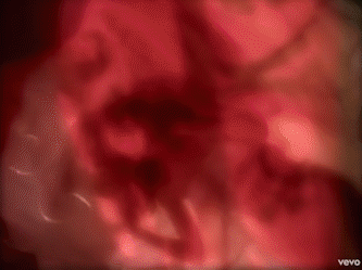FireHouseGif2.gif