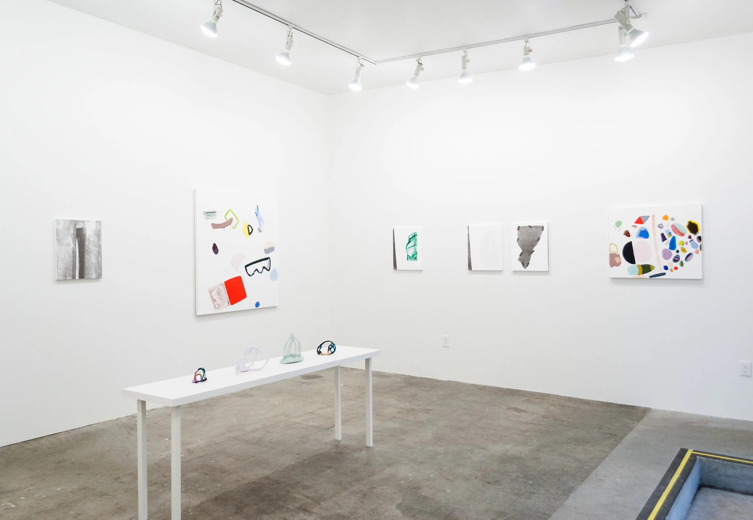 "Testable Predictions" Installation Shot, Carl & Sloan Gallery 2015