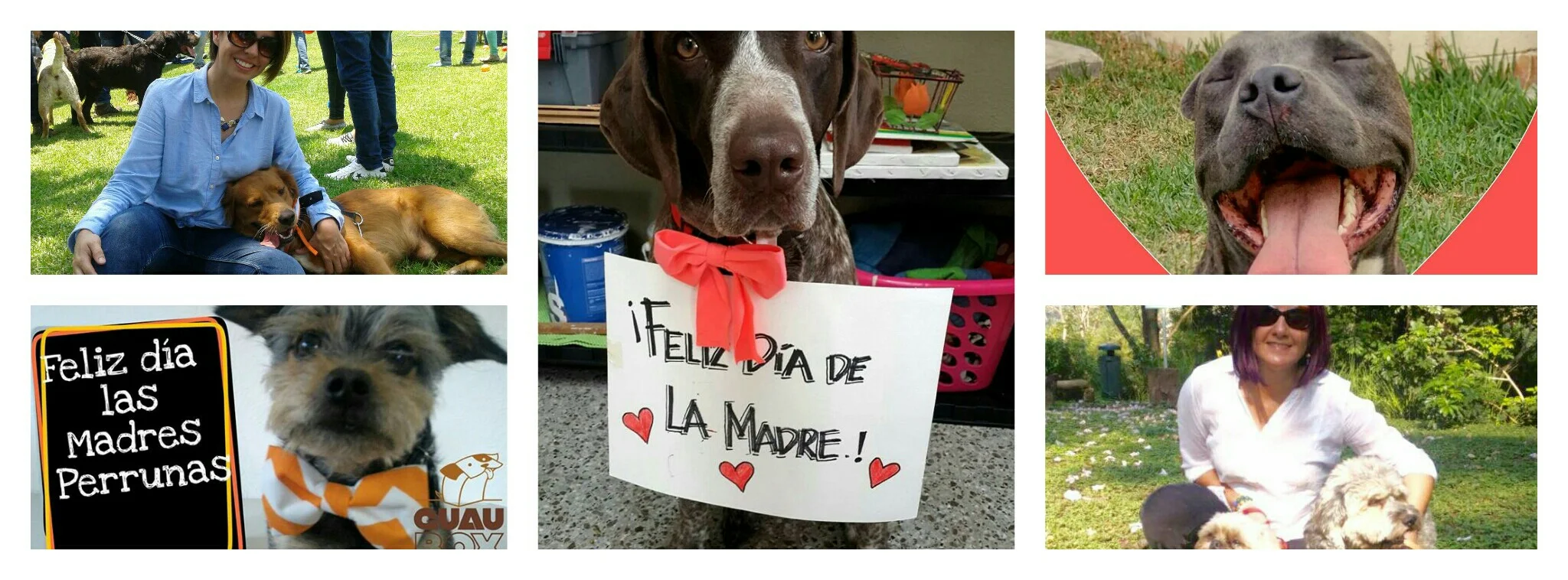 El amor de una madre