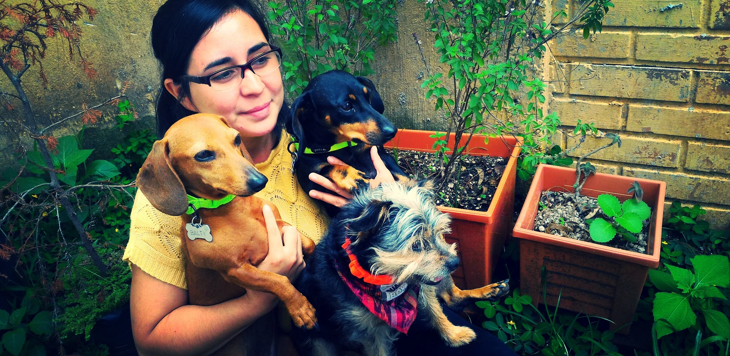 ¡Bienvenidos a Perroterapia!