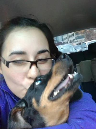 ¡Camino a casa!