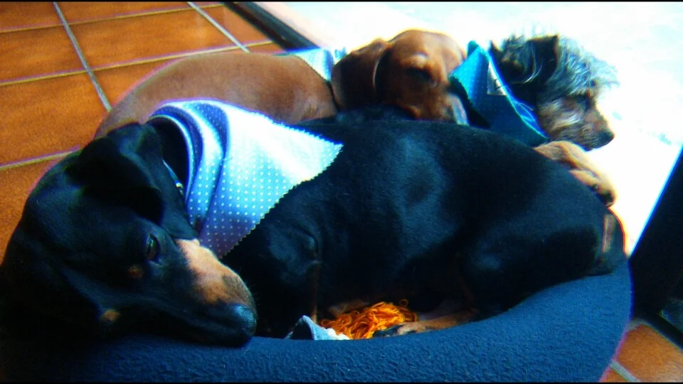 Nuestros terapeutas (3/3) - Keka, una complicada pero muy grata sorpresa