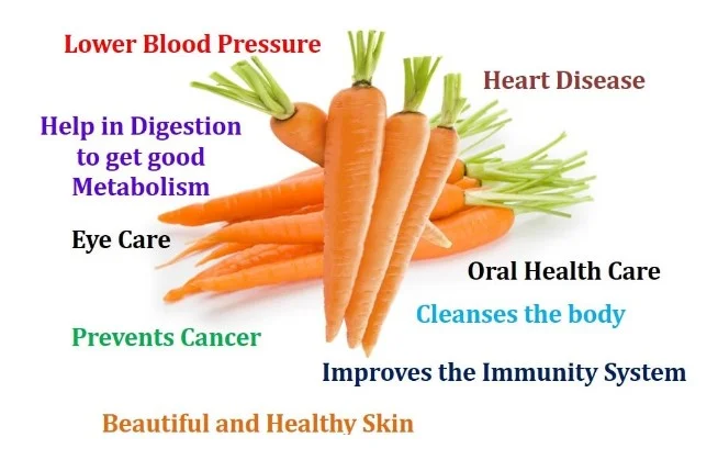 canine-health-benefits-of-carrots.jpg