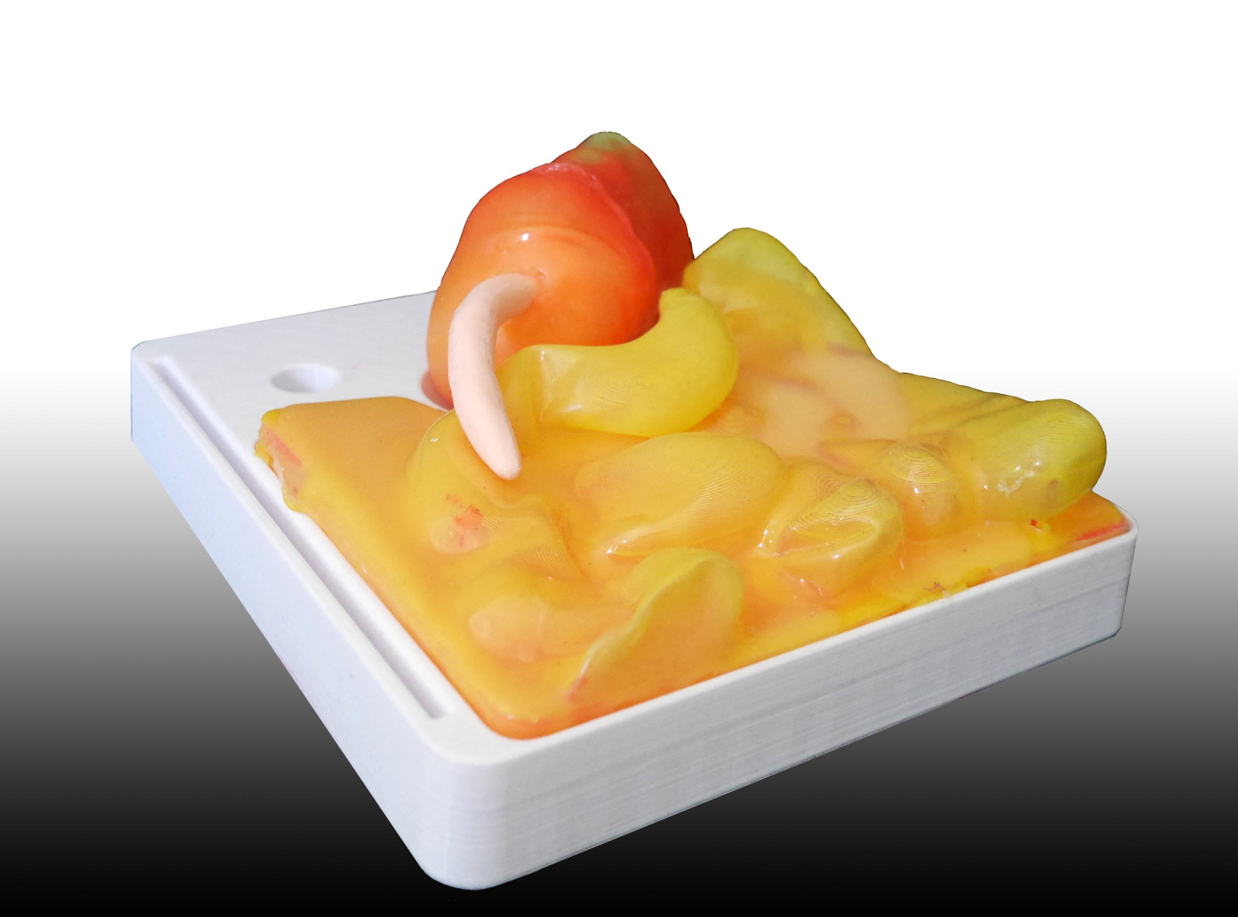 SimOrgan Modul Appendix.png