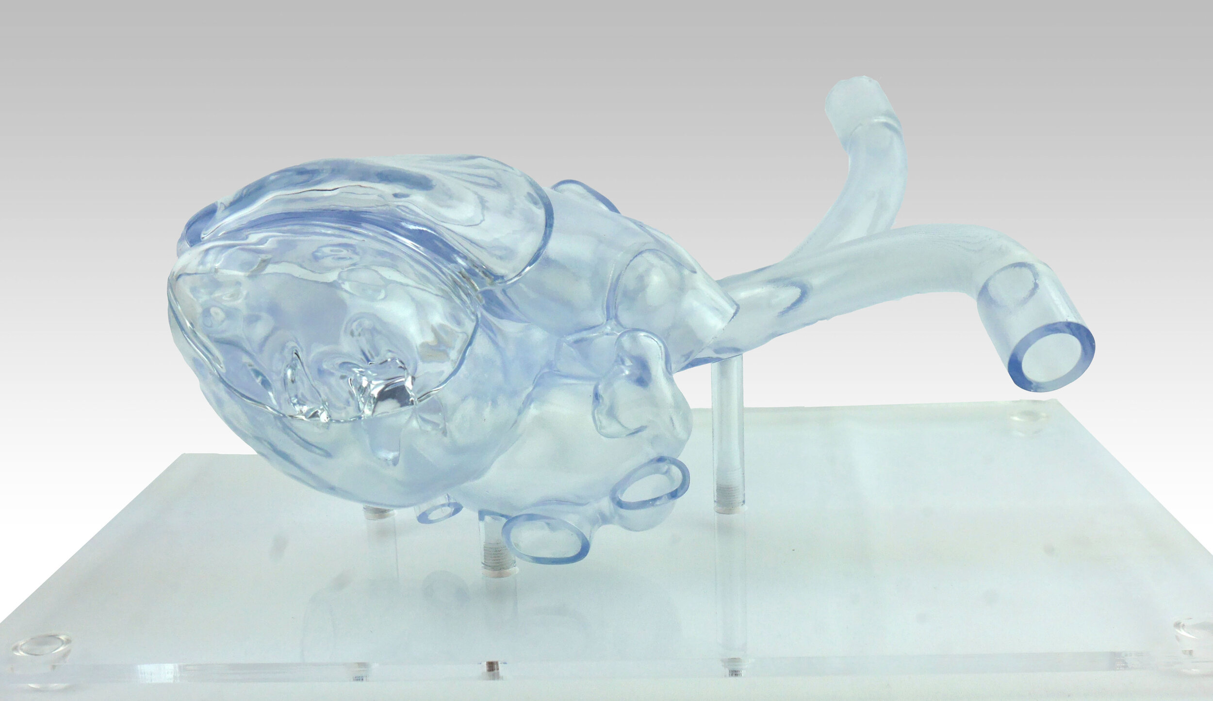 acrylic transparent heart model