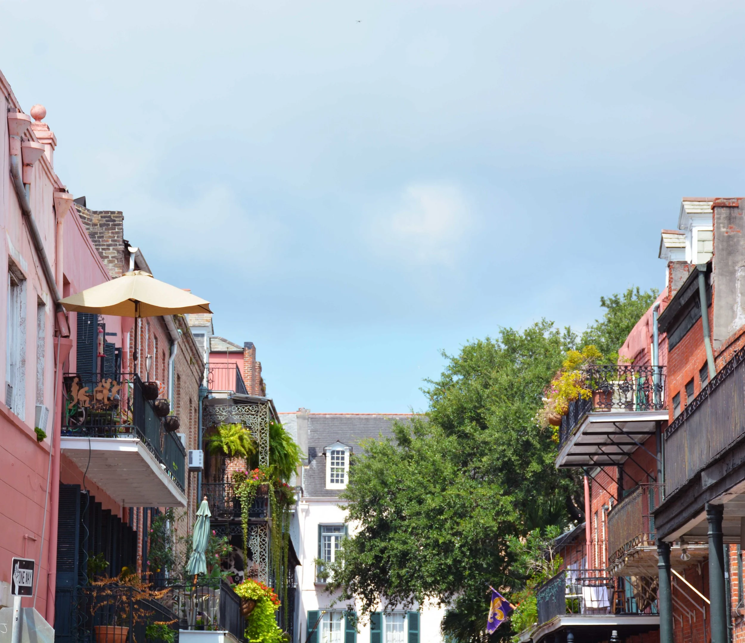 The French Quarter was a feast for the eyes.