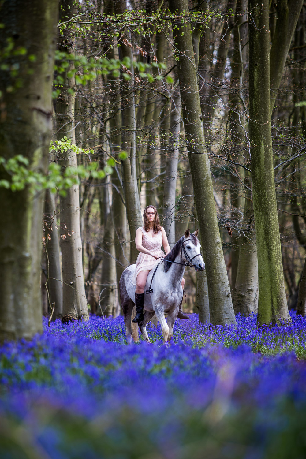 Austin-Brenda Bluebells-96-10.jpg