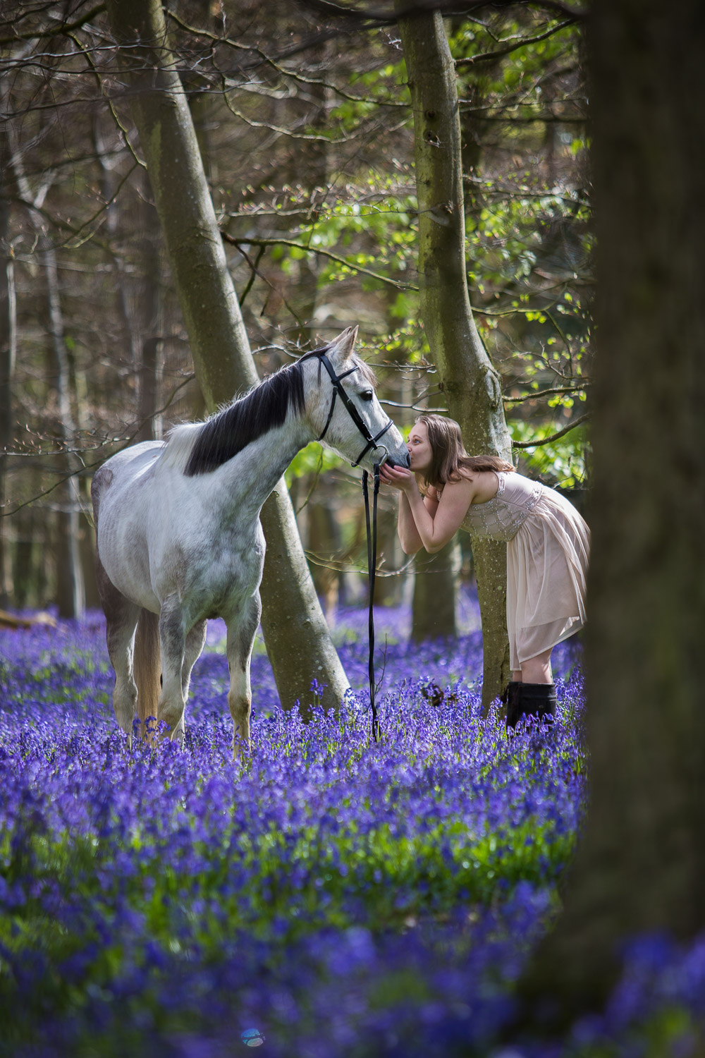 Austin-Brenda Bluebells-48-3.jpg