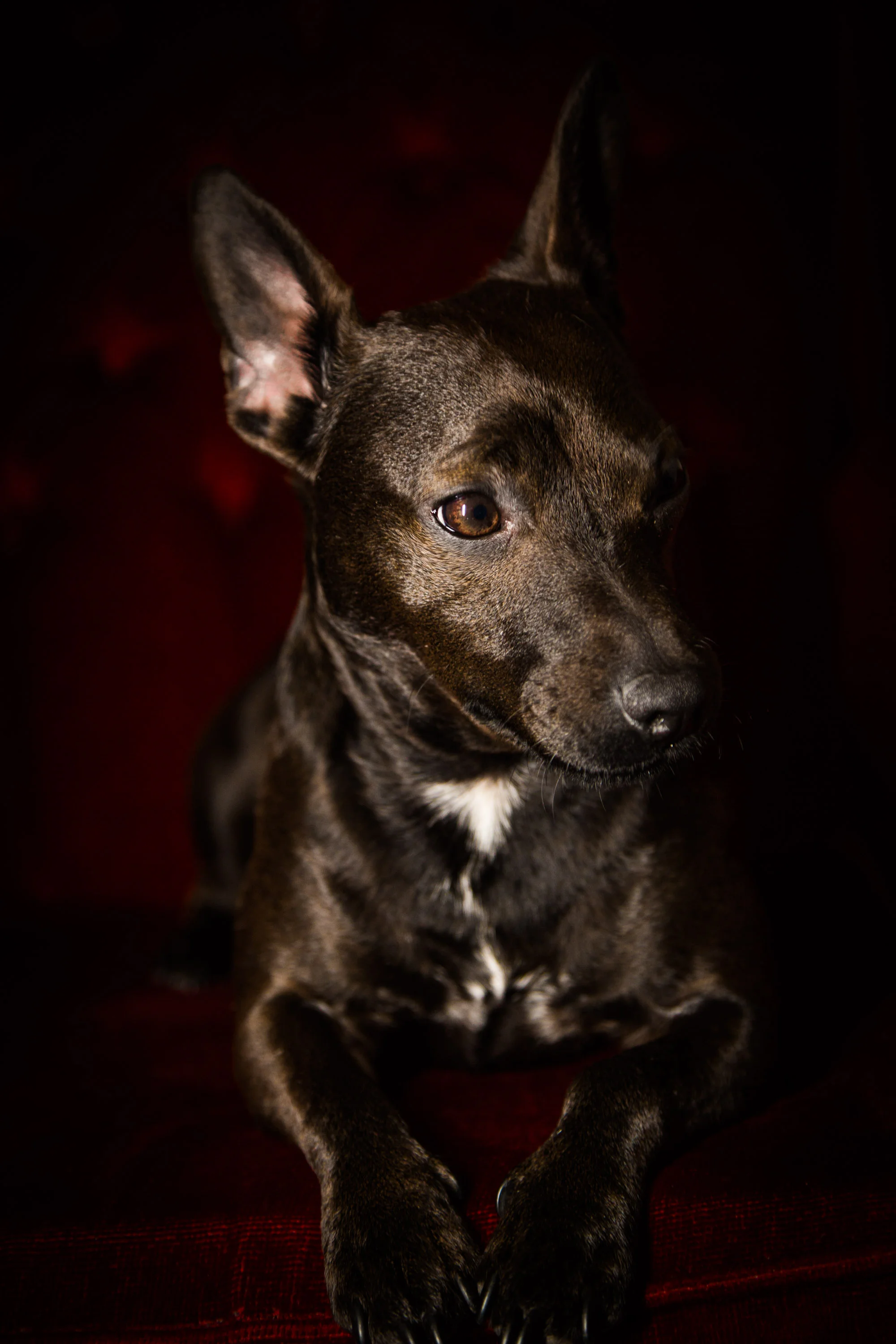 sprout 2016-18-6.jpg