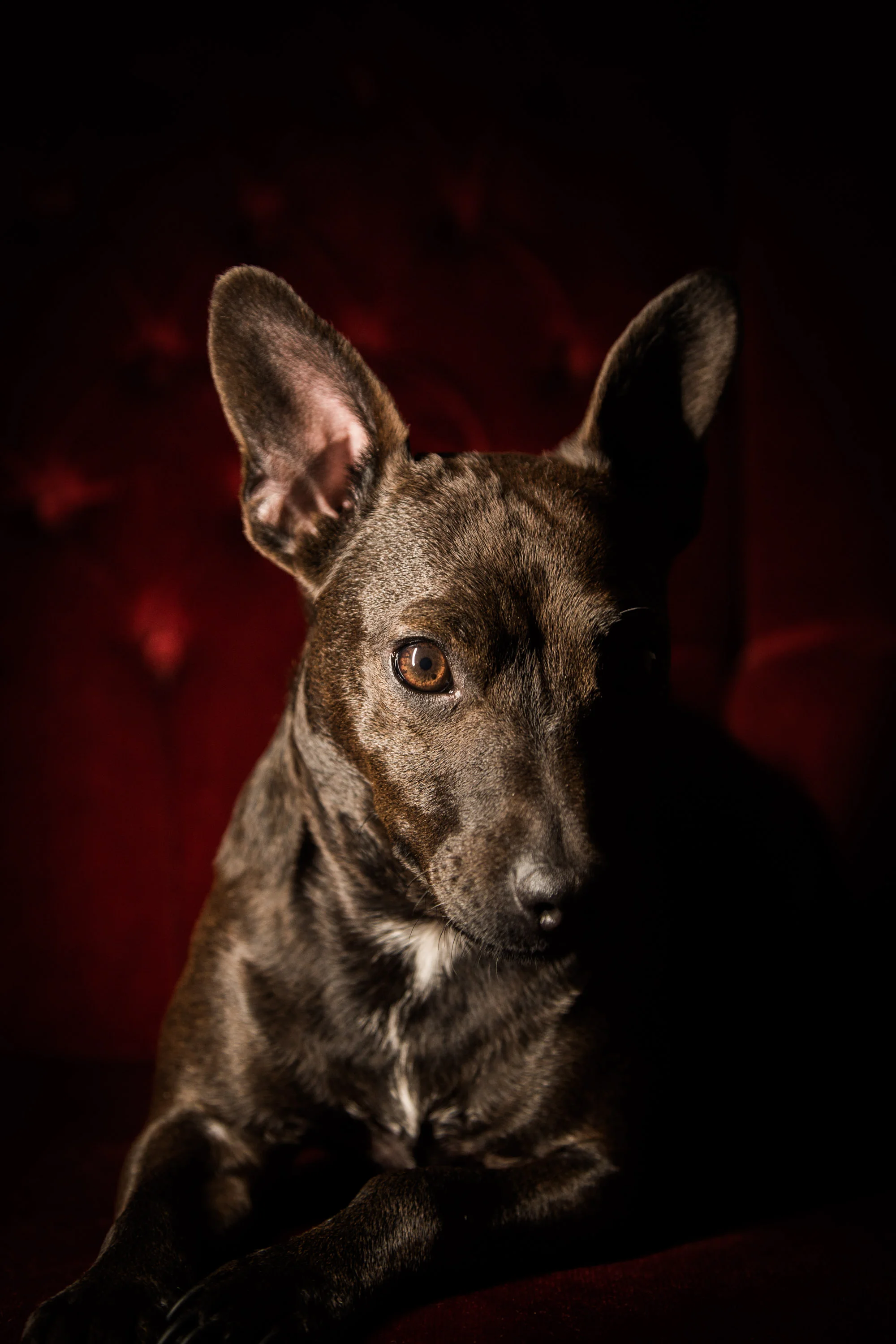 sprout 2016-30-7.jpg