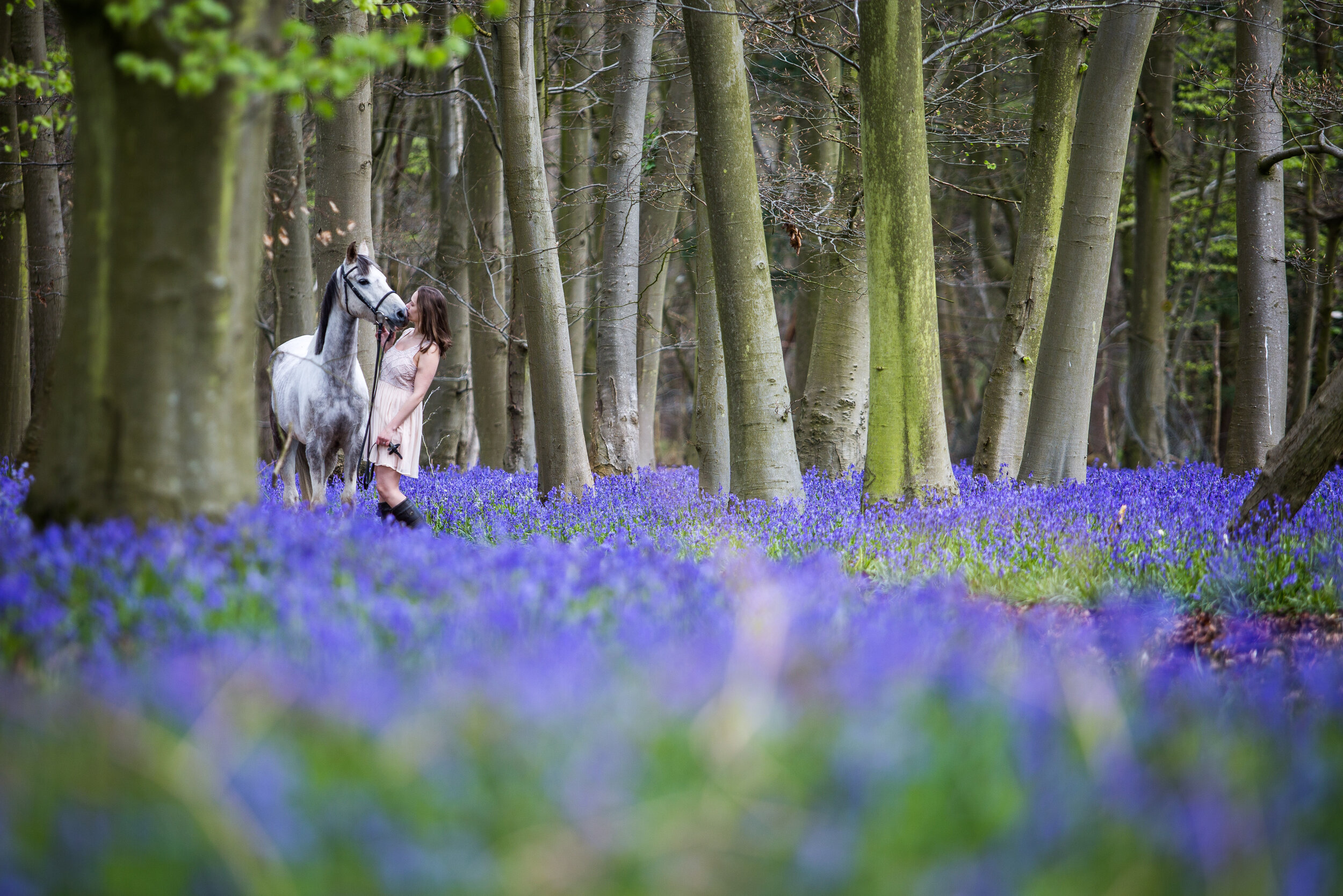 Austin-Brenda Bluebells-91-27.jpg