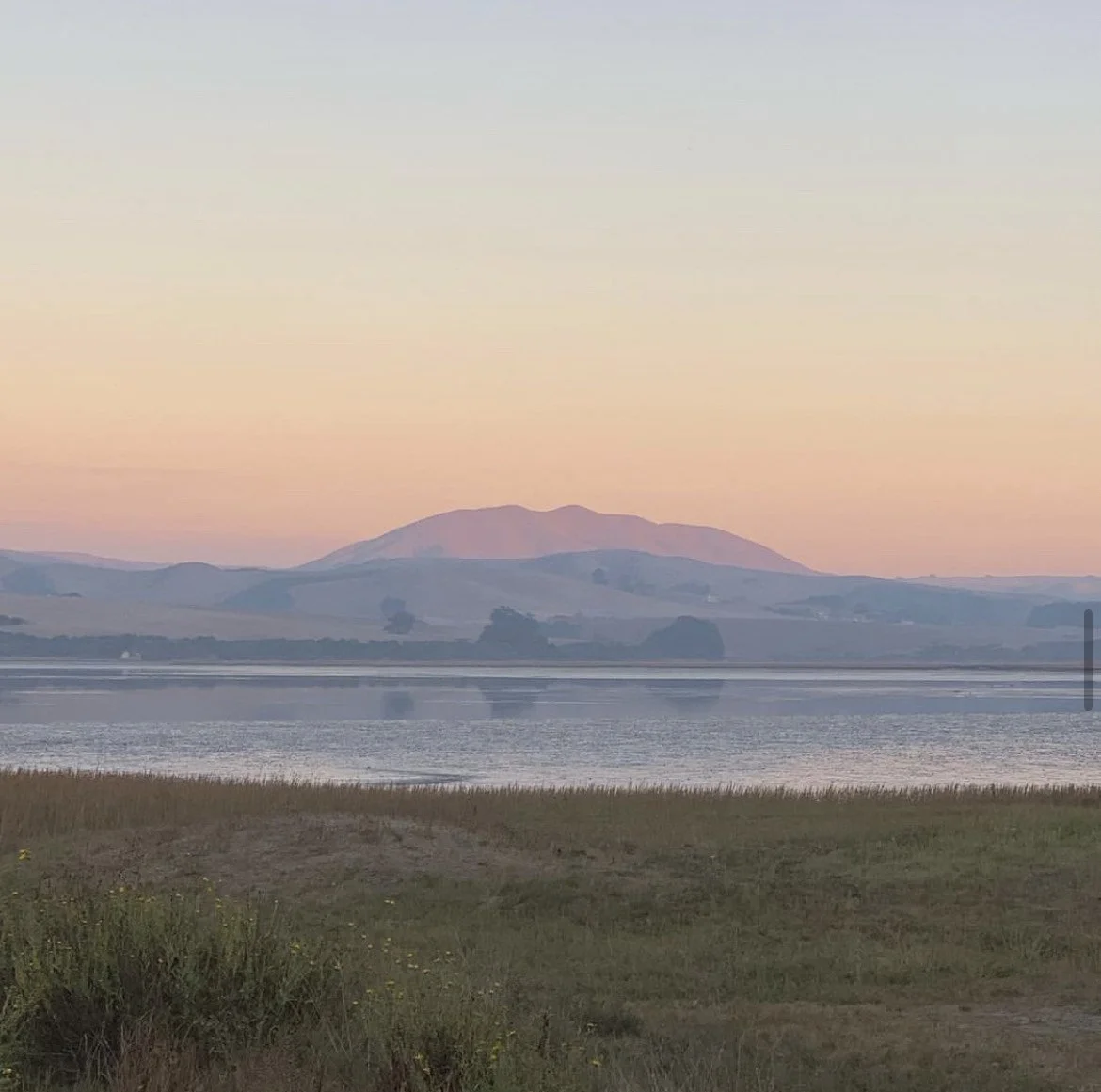 Saltwater Oyster Depot