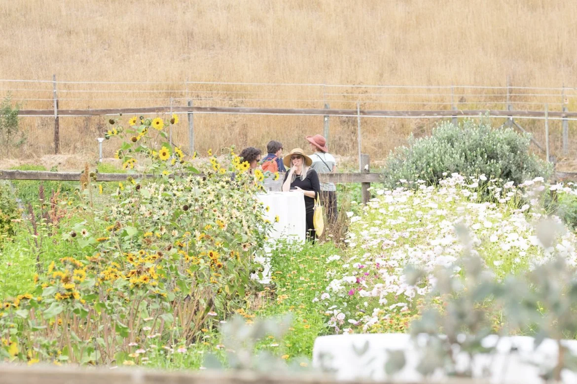 Saltwater Oyster Depot