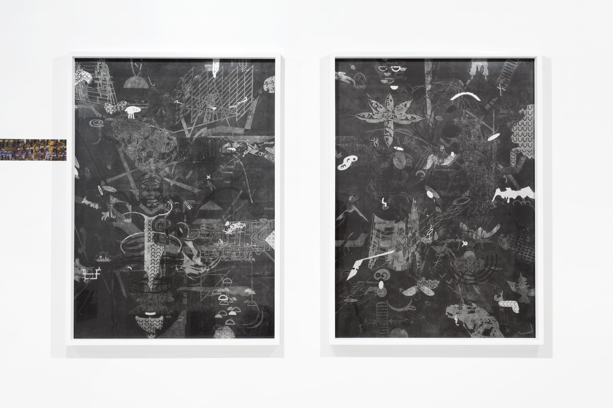 Exploded View 13 & 14, 2016, Monotype print on Rives BFK, 41" x 30" each