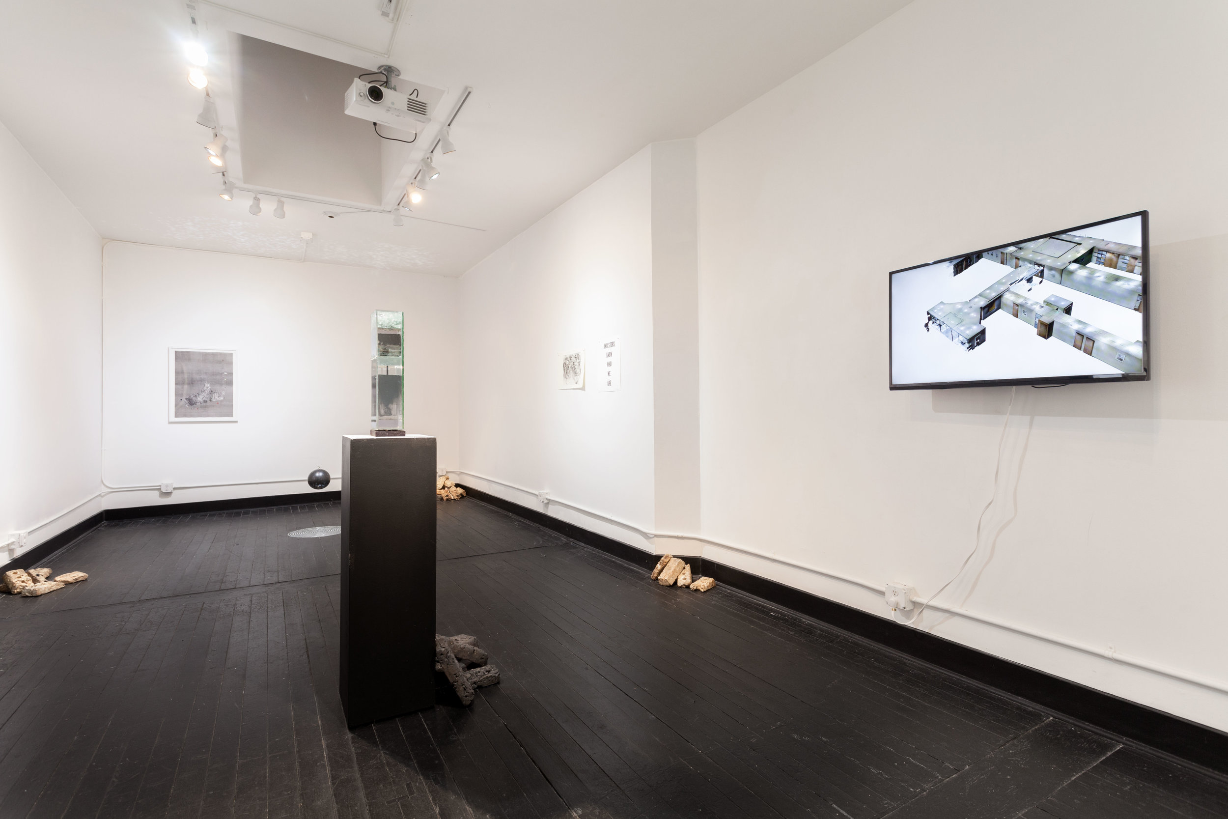 Installation view of "echo, echo," the Alice Gallery, February, 2017