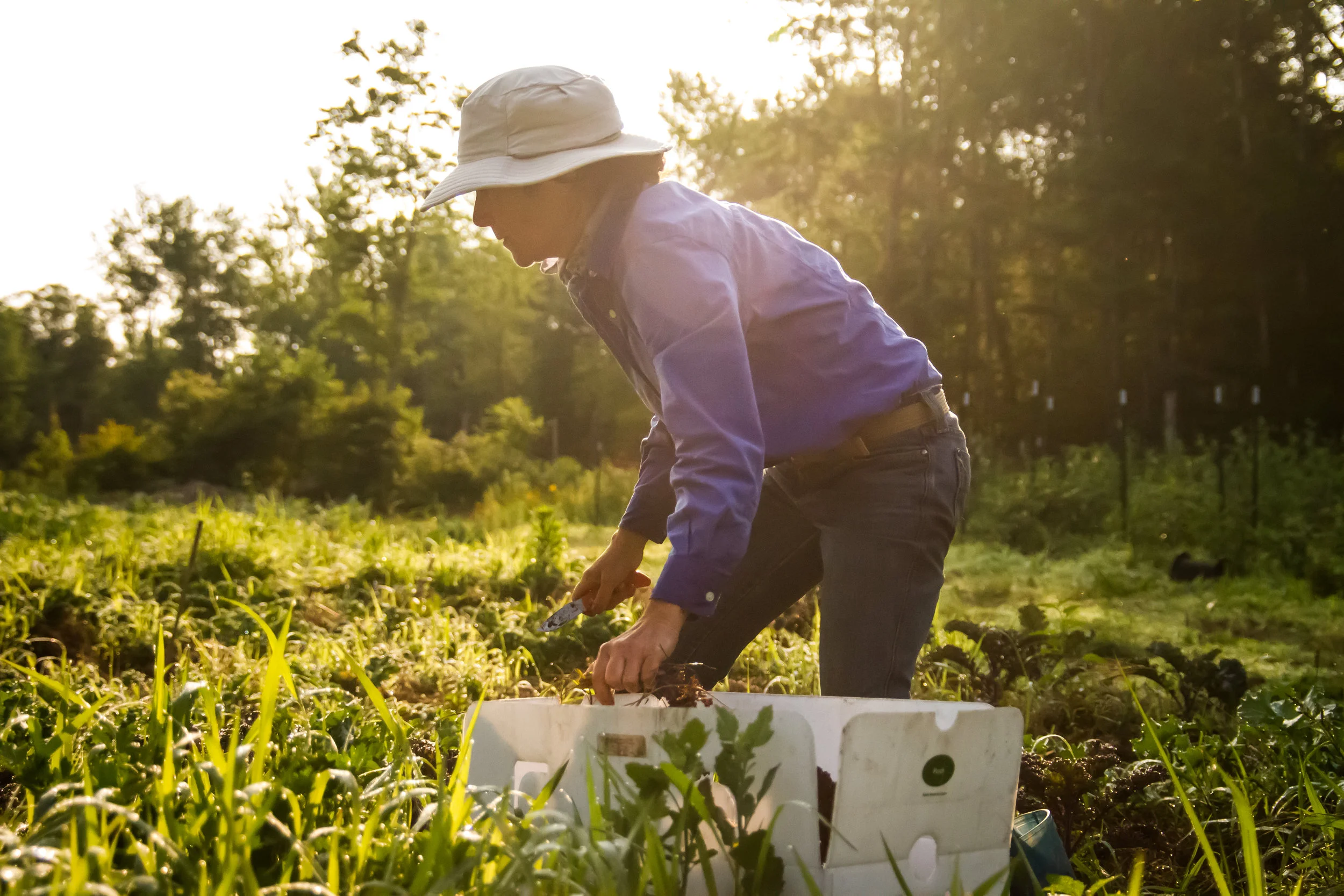20150712_Connecticut_Erika Farm_7664.jpg
