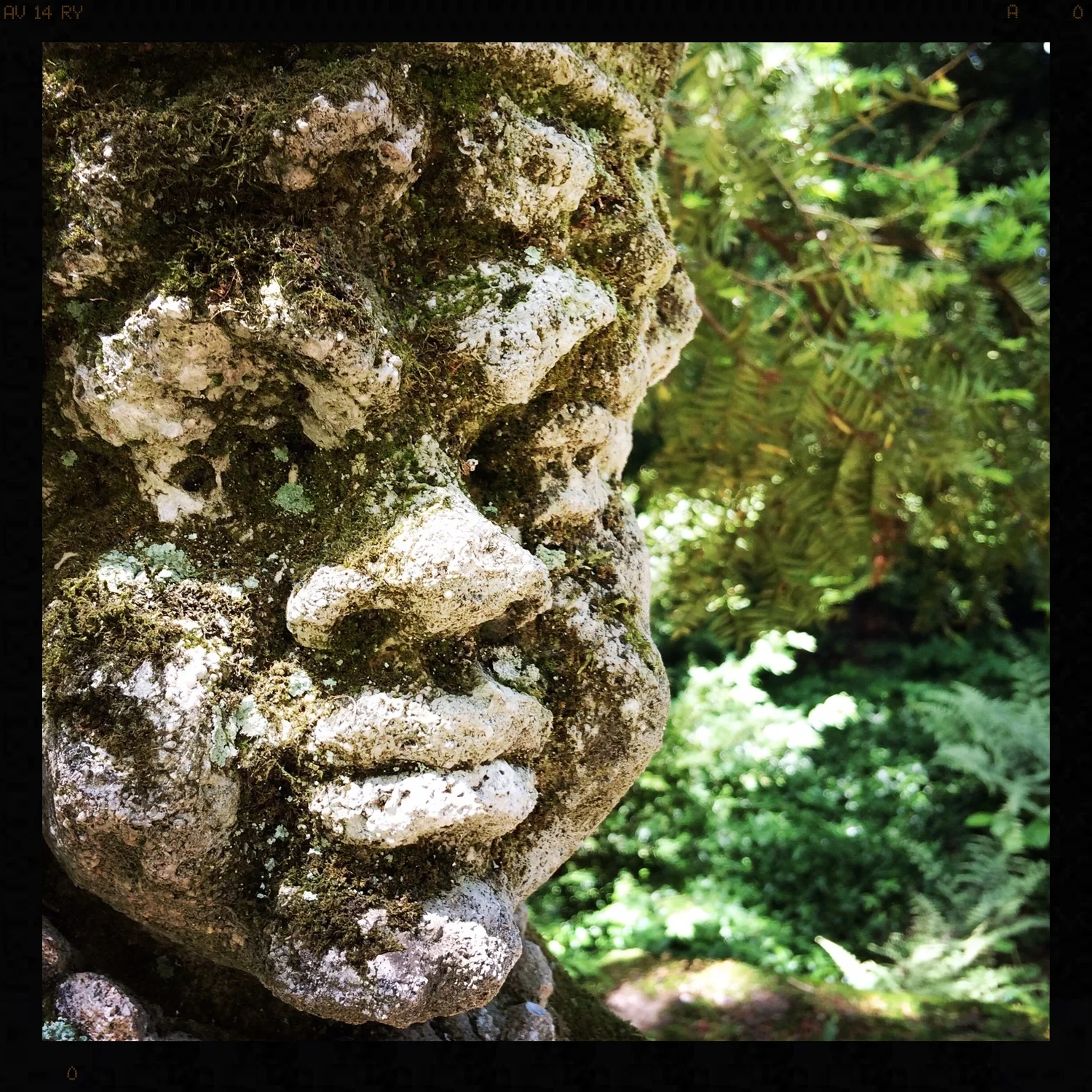 StoneFaceRoyalty Three