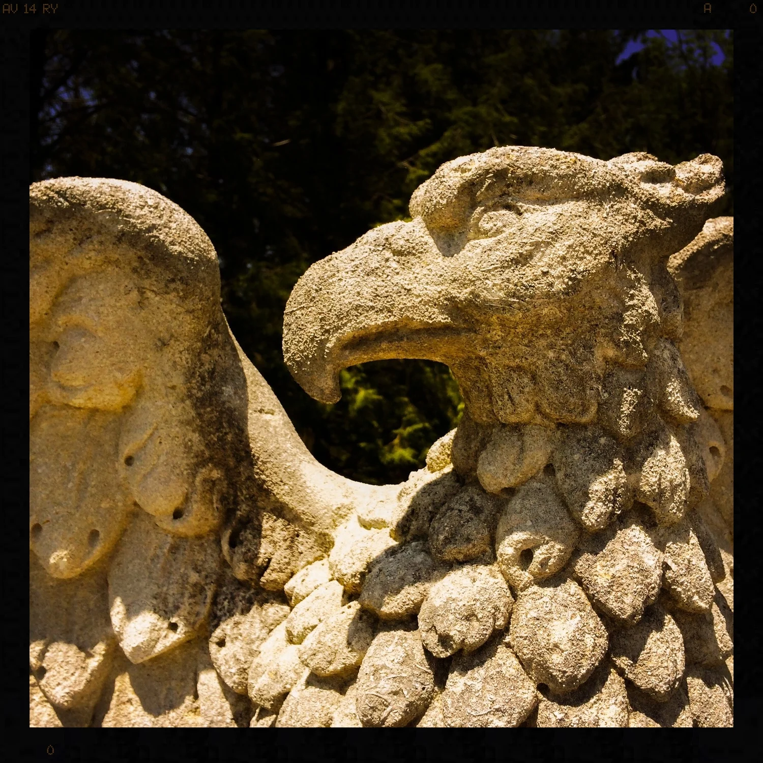 RegalEagle