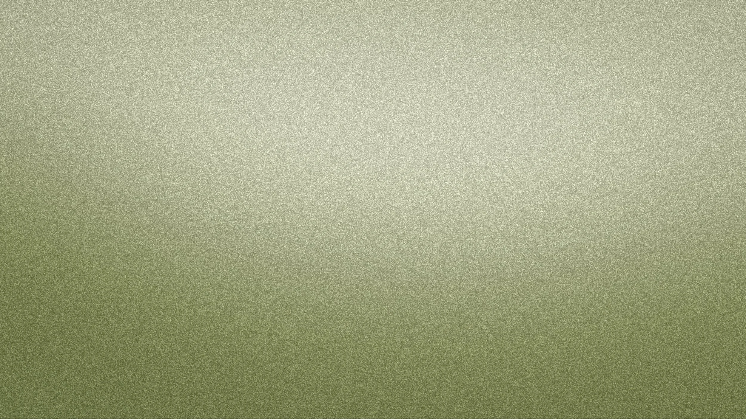 Next Steps Header.jpeg