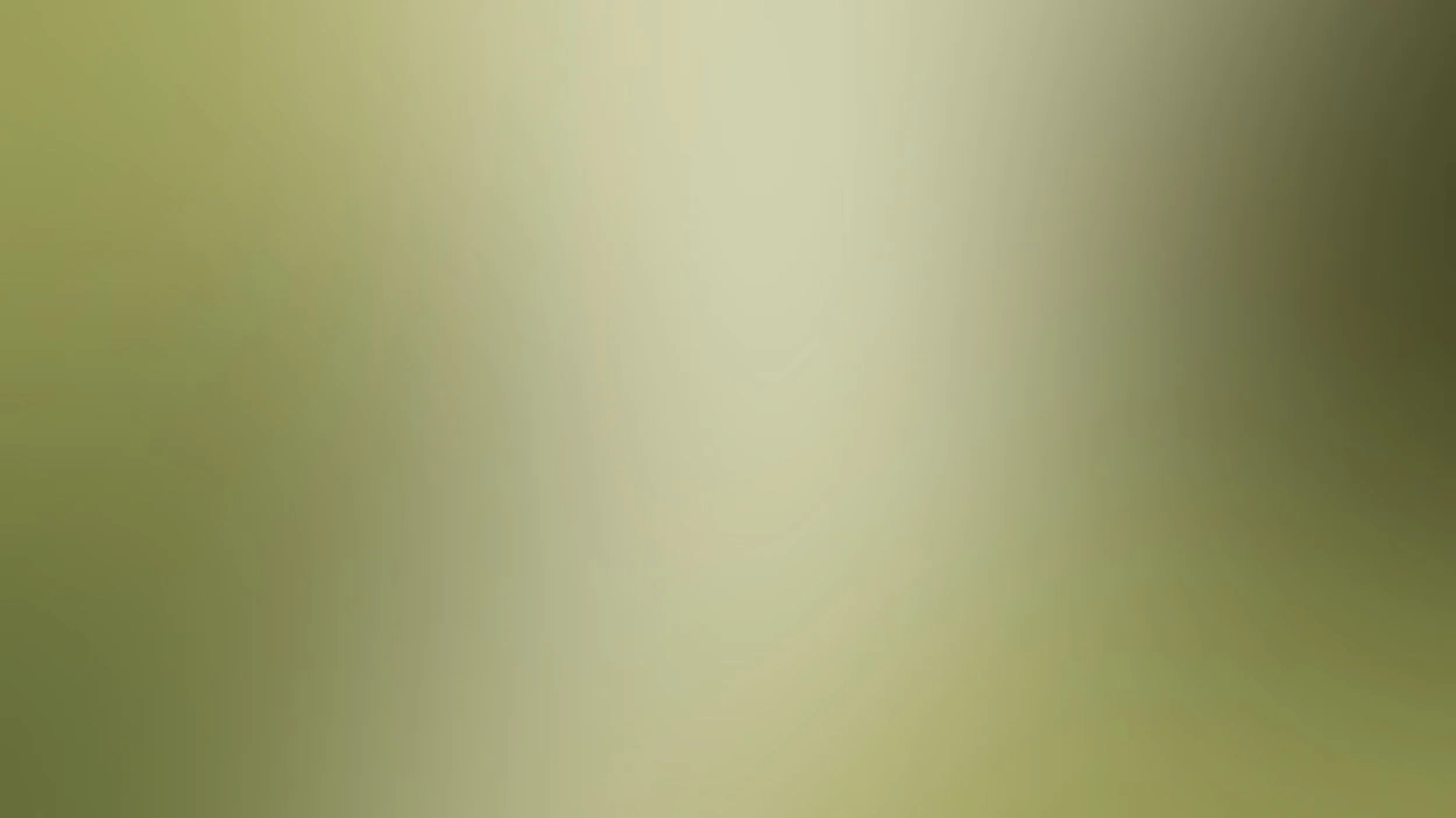 You Belong Header.jpg