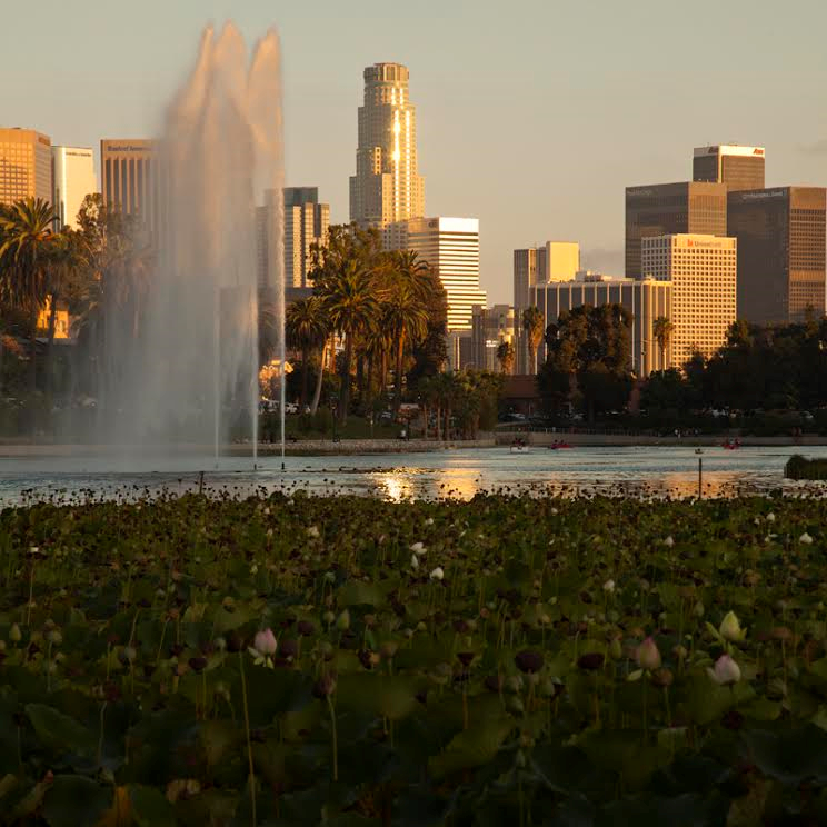 Echo Park Photo by Marc Ritzema