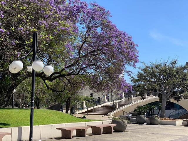 We are excited to announce a partnership with @picturingmexicanamerica that allows us to bring to life the rich Mexican-American history of Los Angeles through a series of self-guided bicycle tours beginning with &lsquo;Daily Life of Early LA&rsquo; 