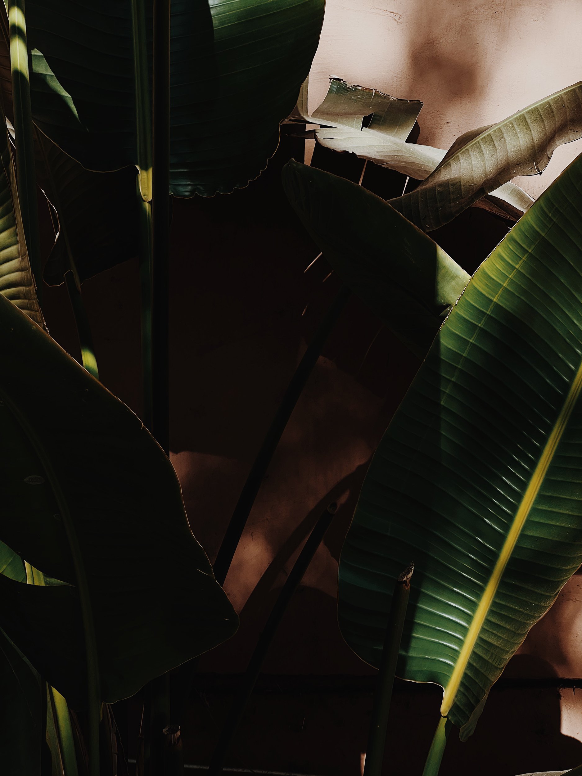 Missing Pieces-5.JPG