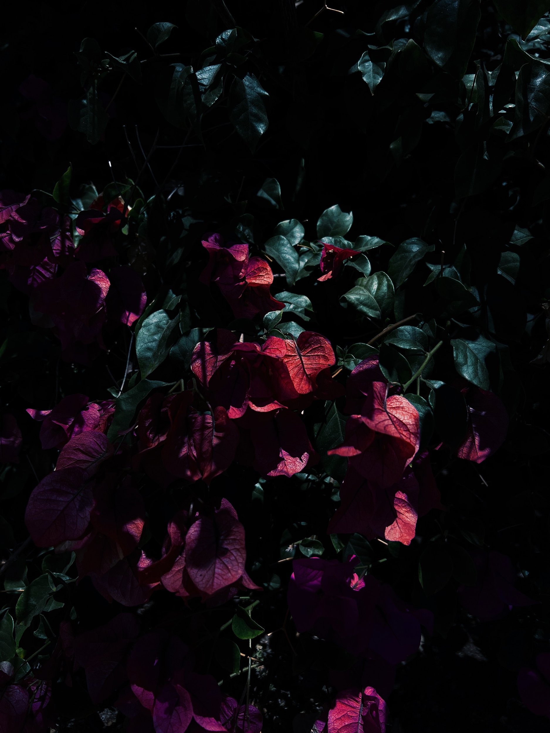 Missing Pieces-7.JPG
