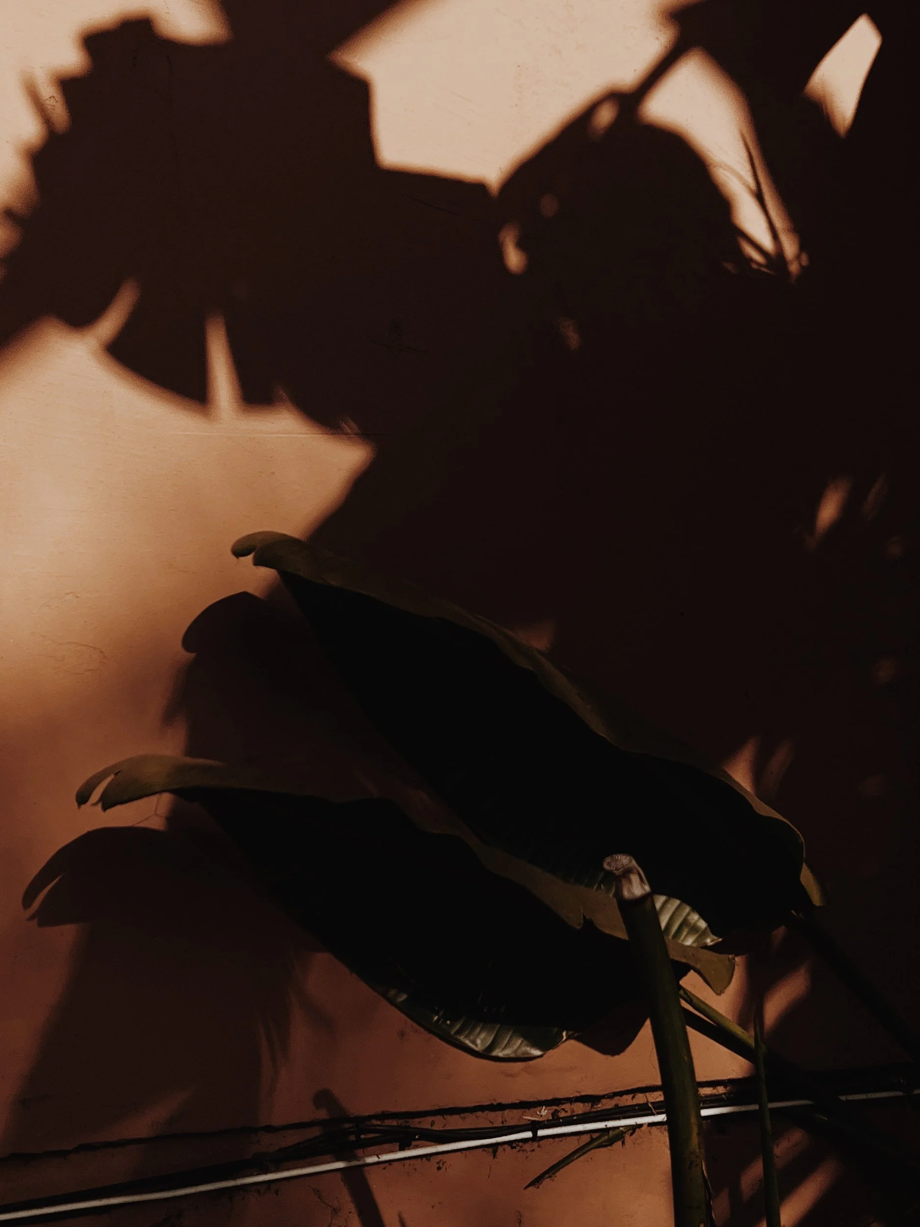 Missing Pieces-20.JPG