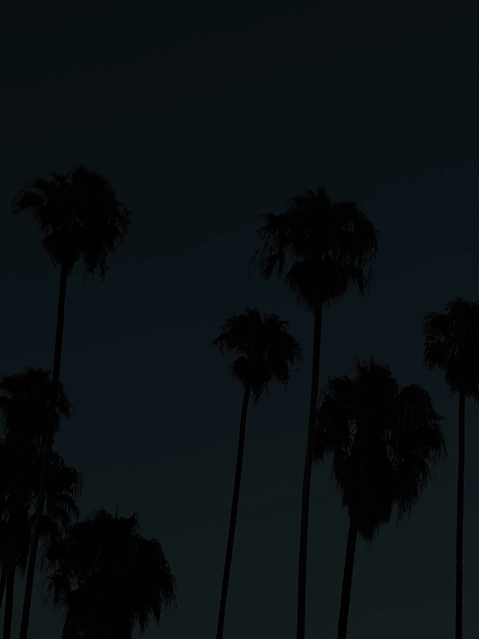 Missing Pieces-26.JPG