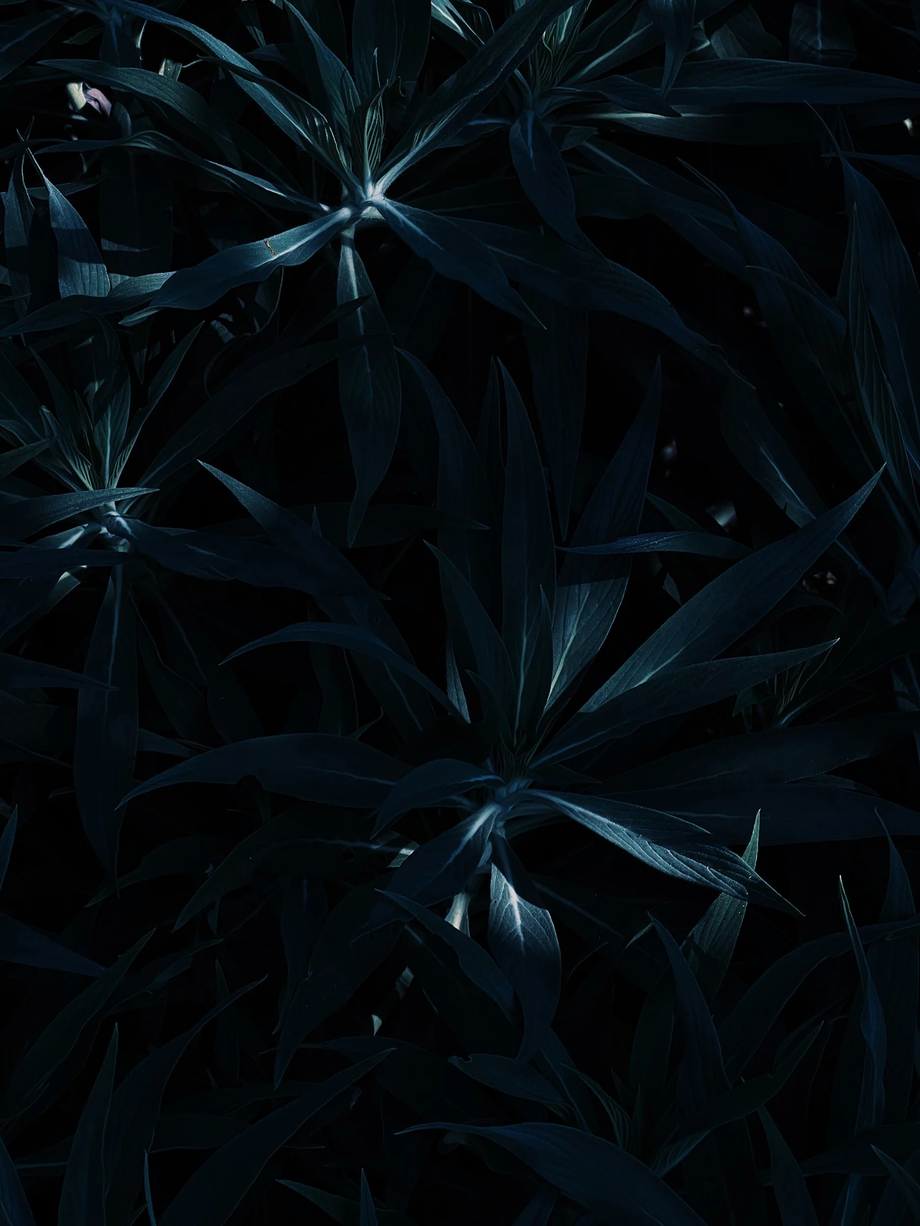 Missing Pieces-27.JPG