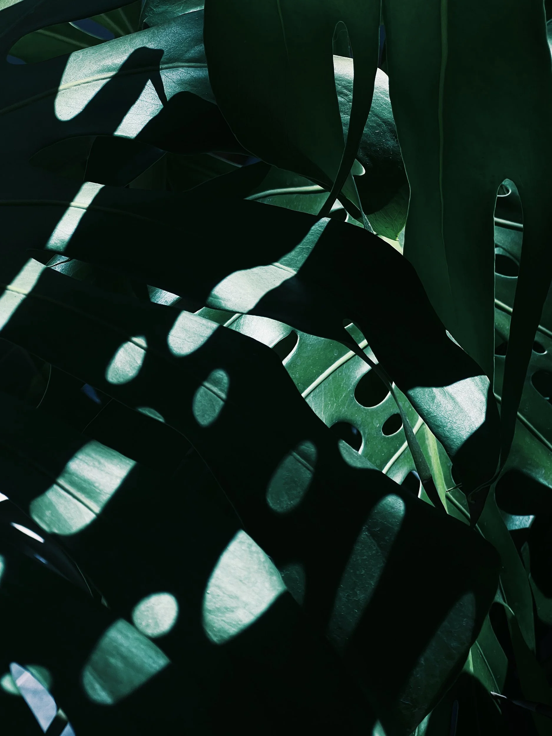 Missing Pieces-48.JPG