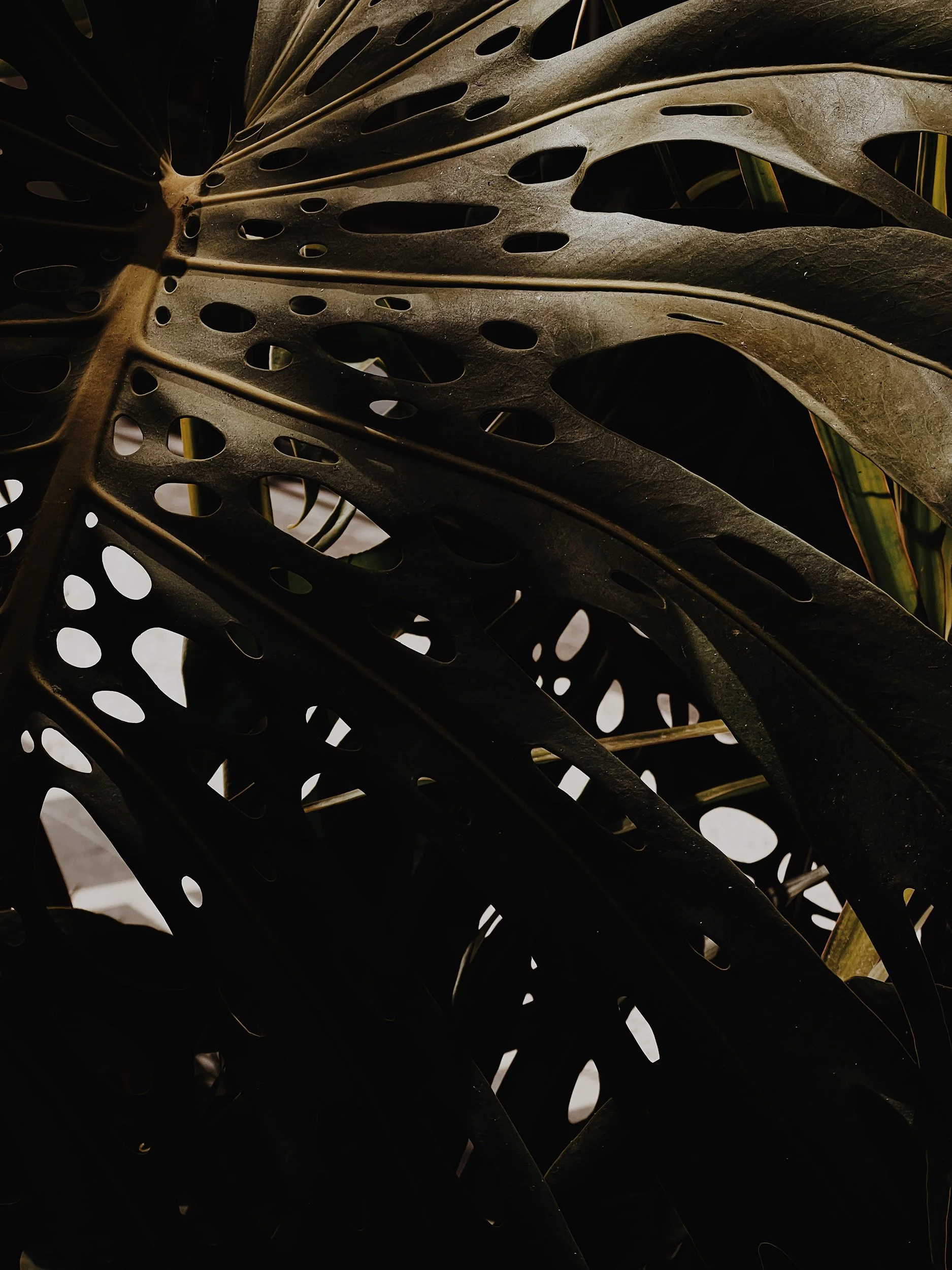 Missing Pieces-59.JPG