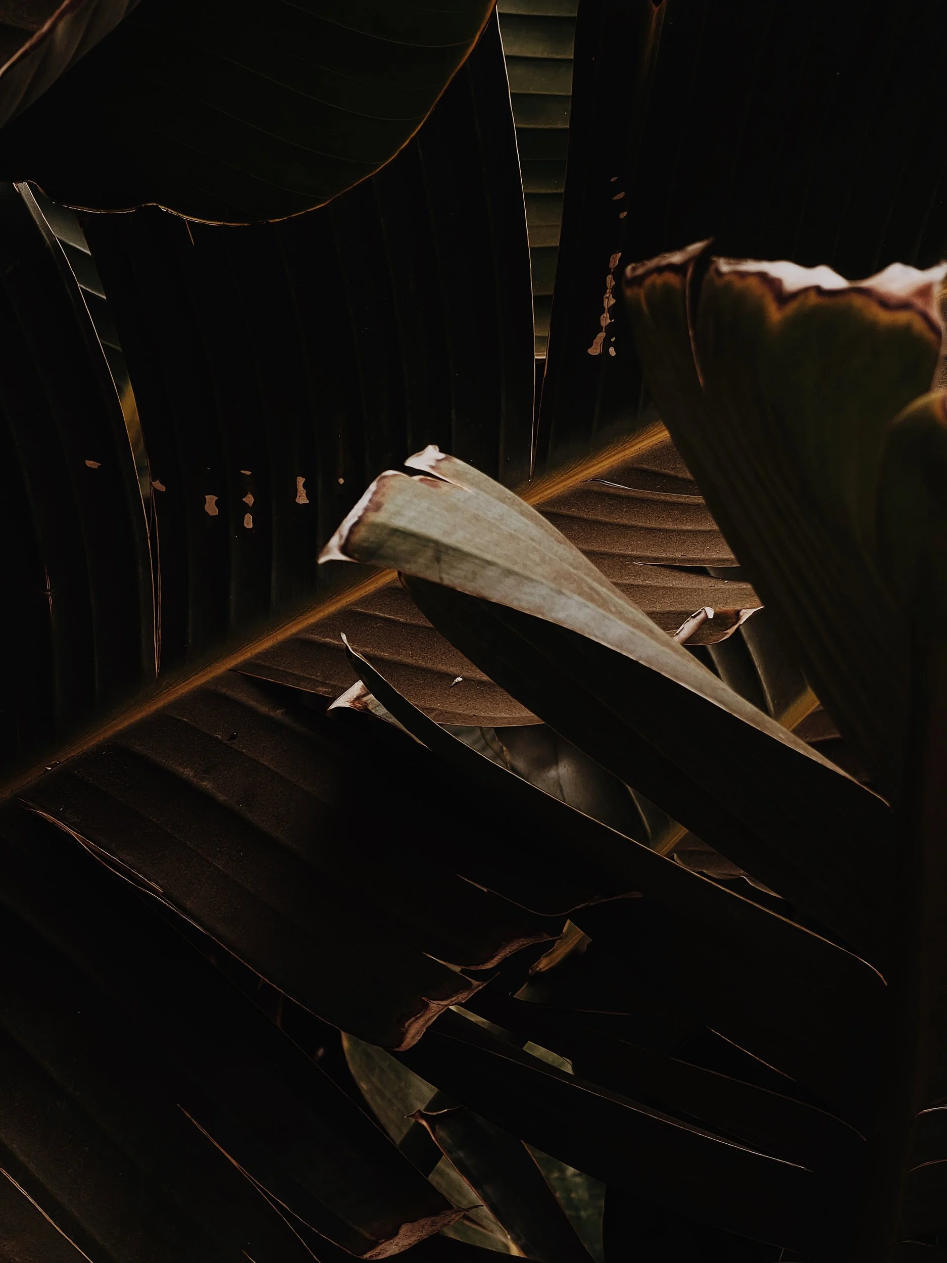 Missing Pieces-72.JPG