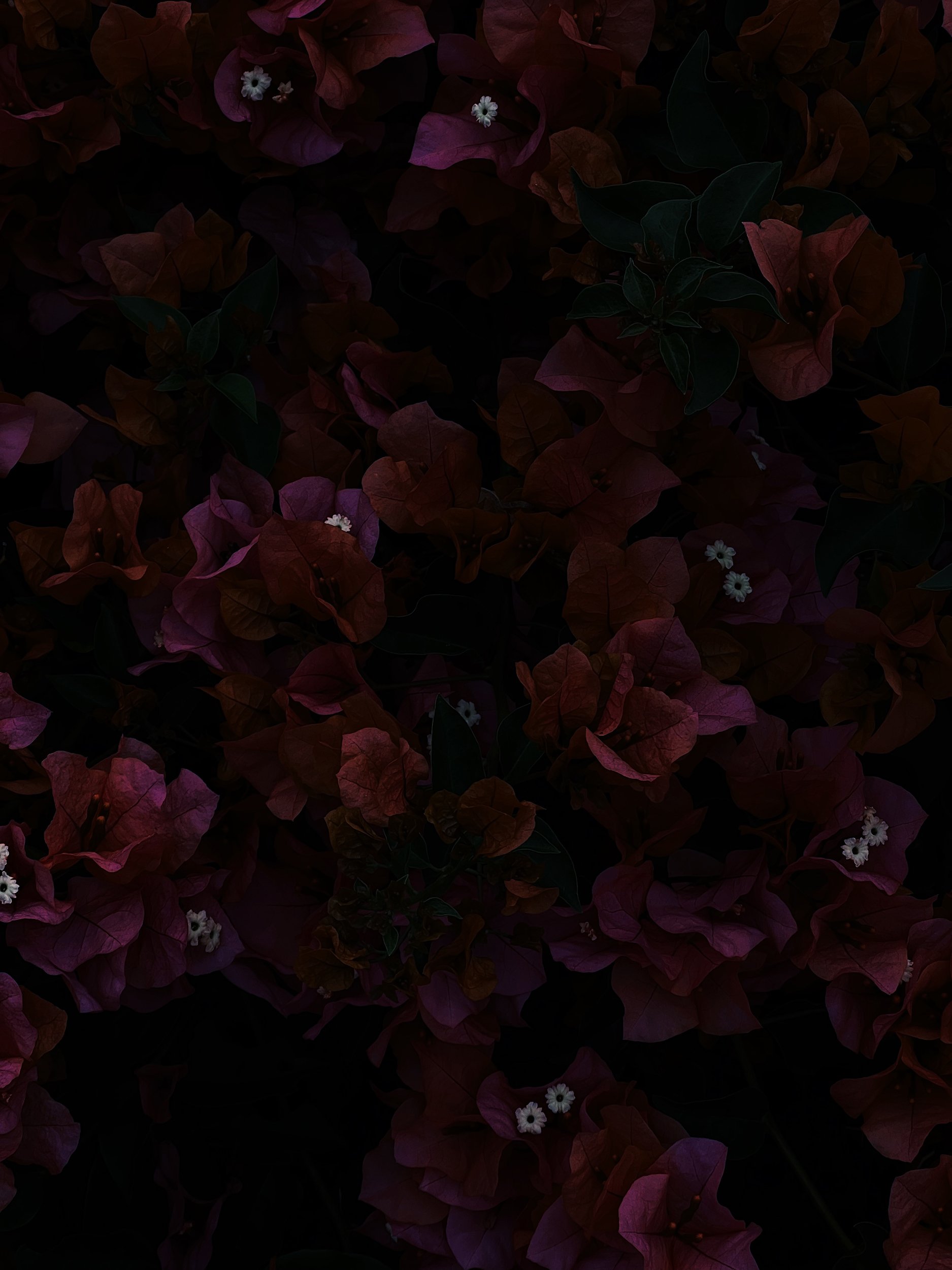 Missing Pieces-77.JPG