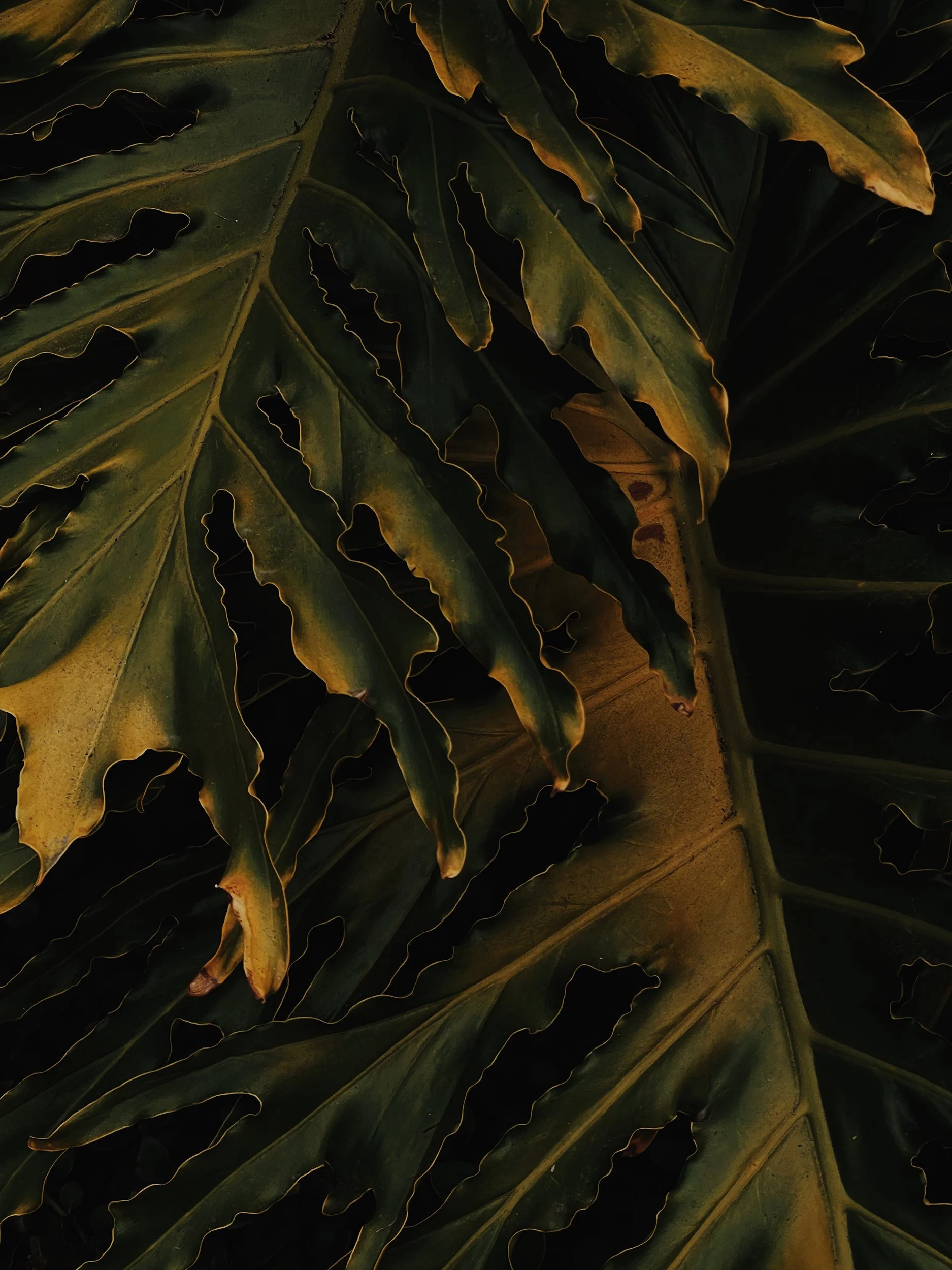 Missing Pieces-79.JPG