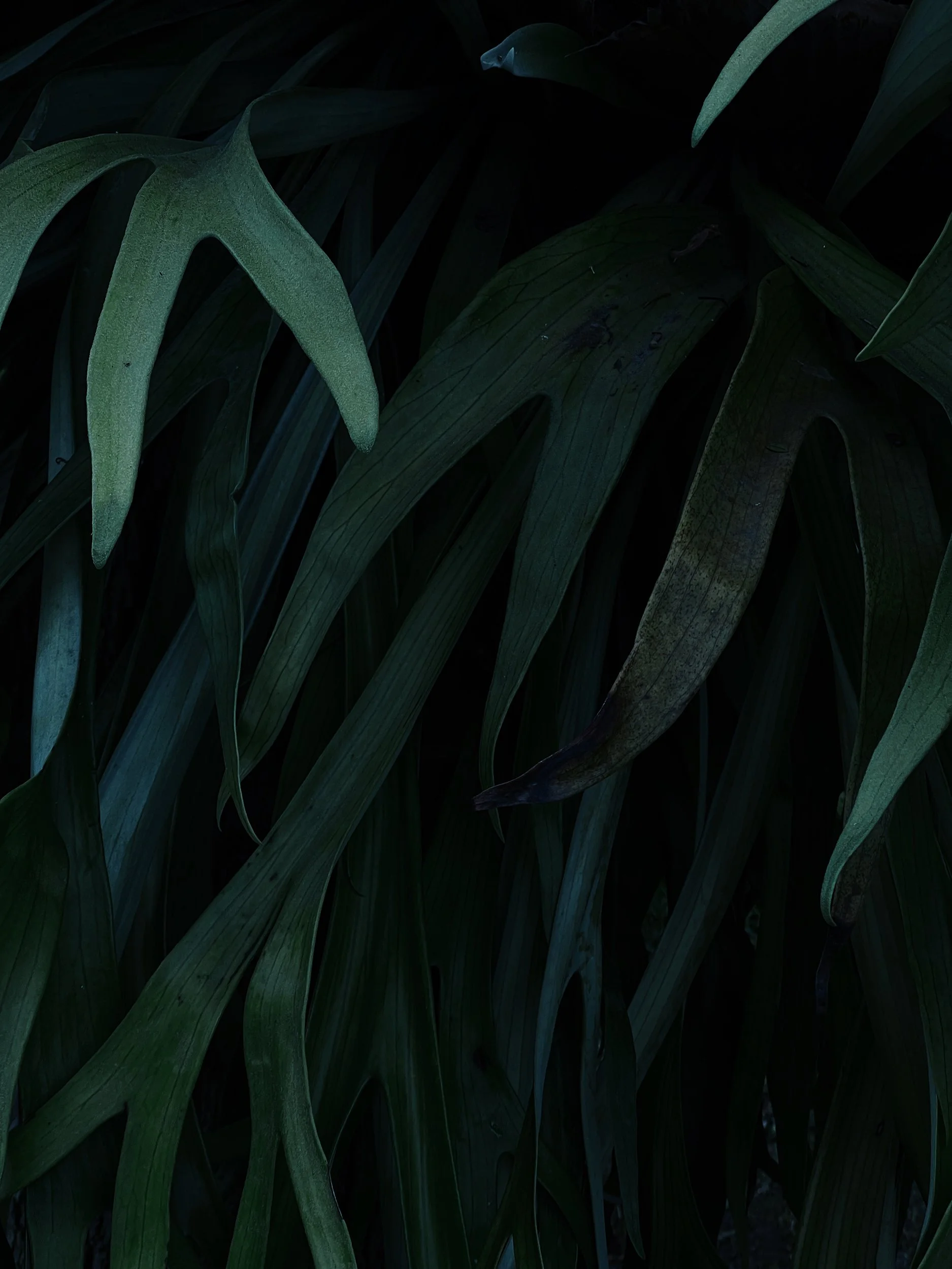 Missing Pieces-82.JPG