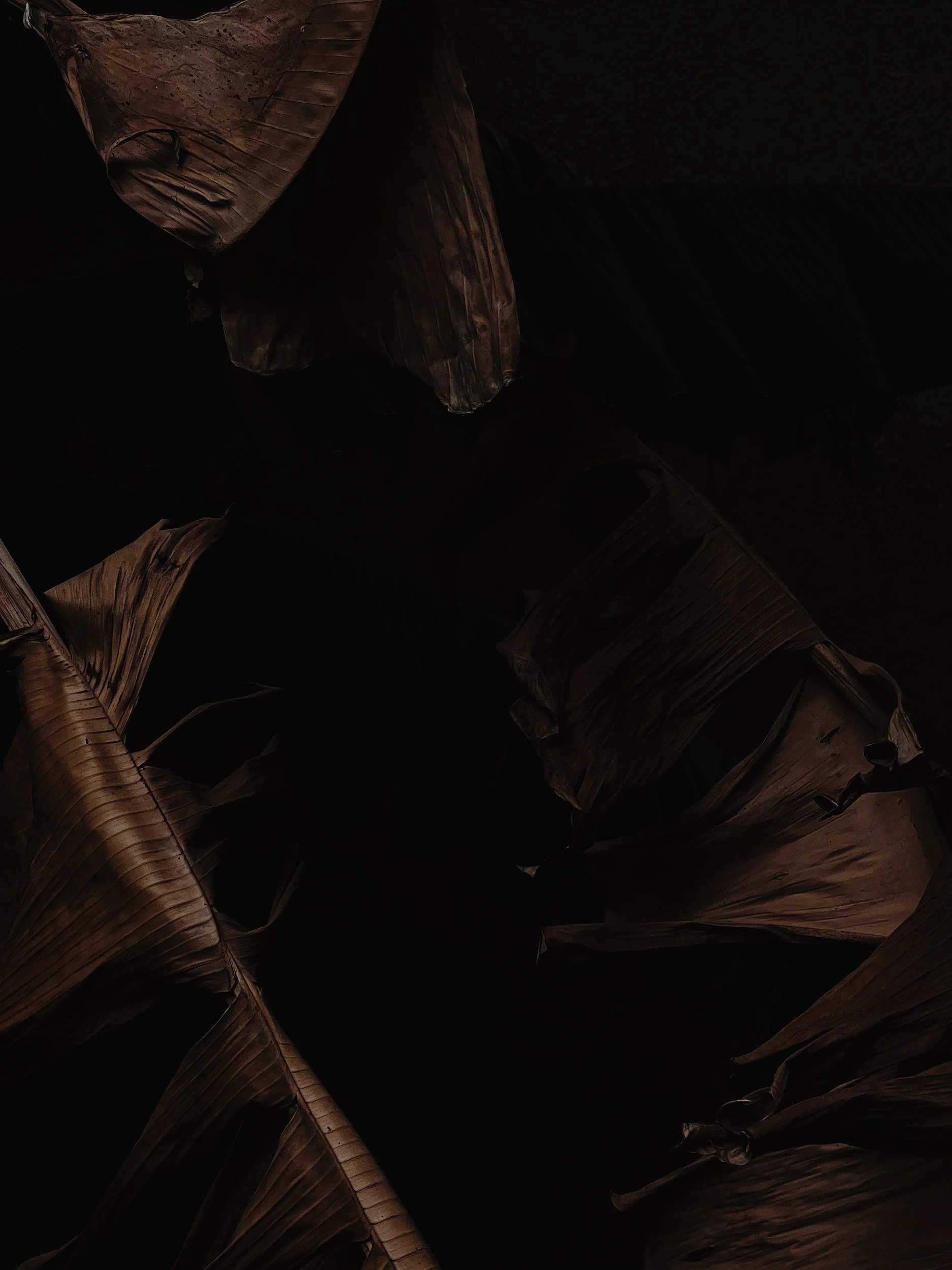 Missing Pieces-91.JPG