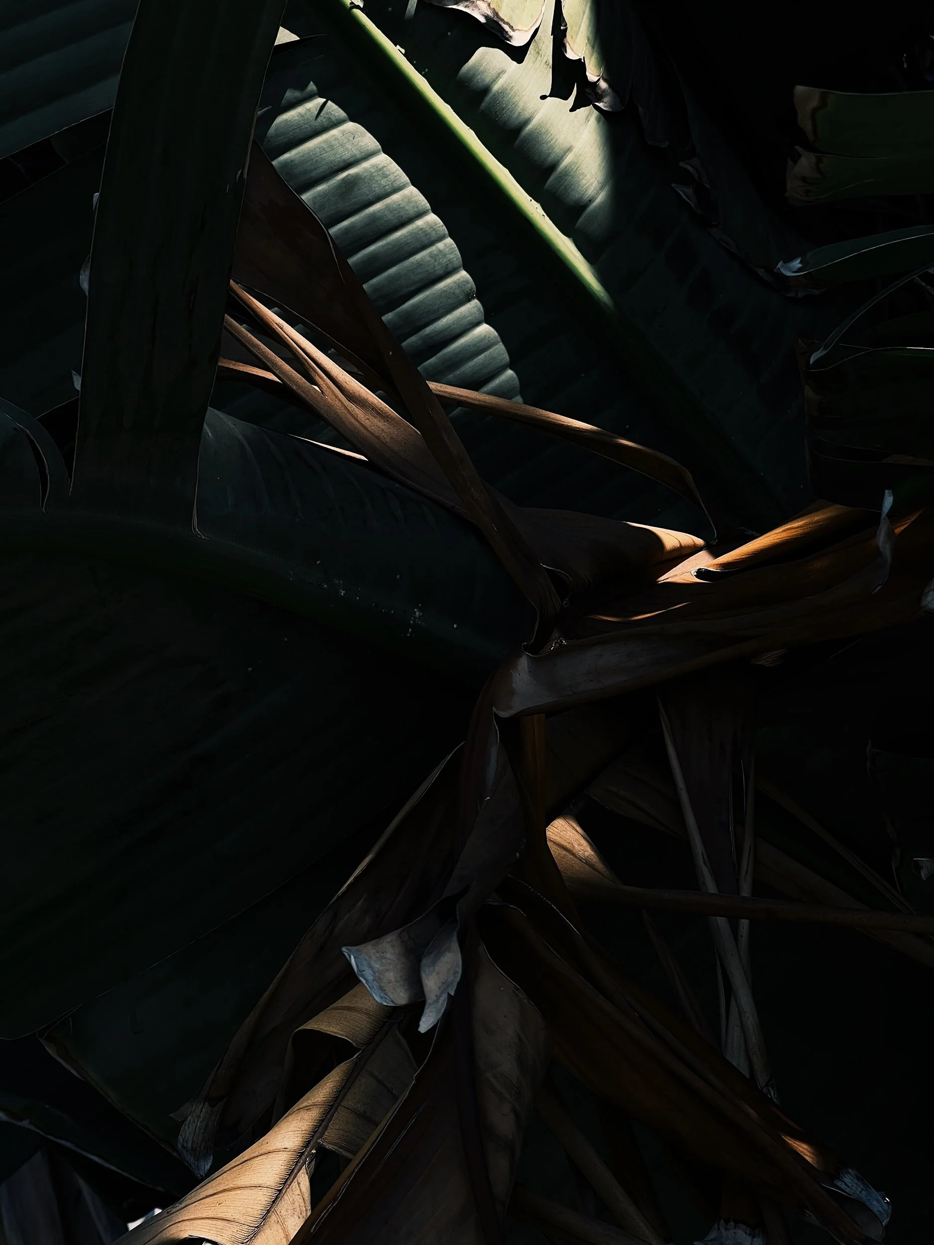 Missing Pieces-101.JPG