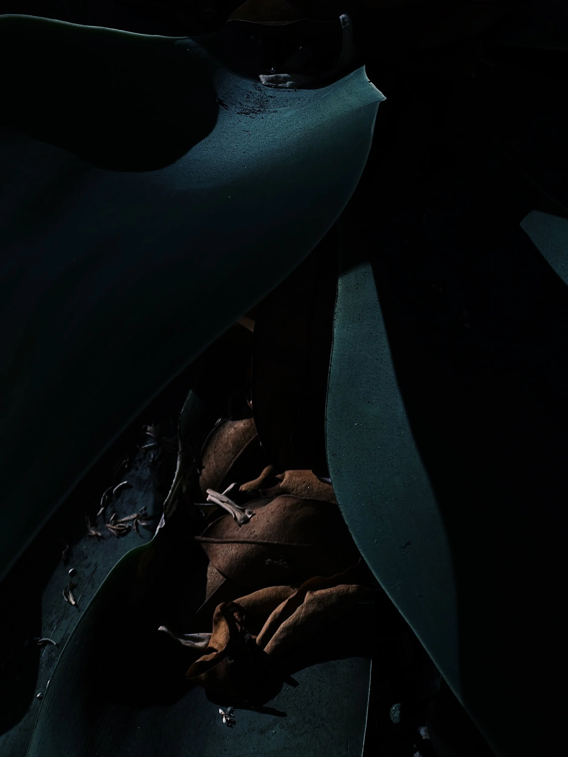 Missing Pieces-106.JPG