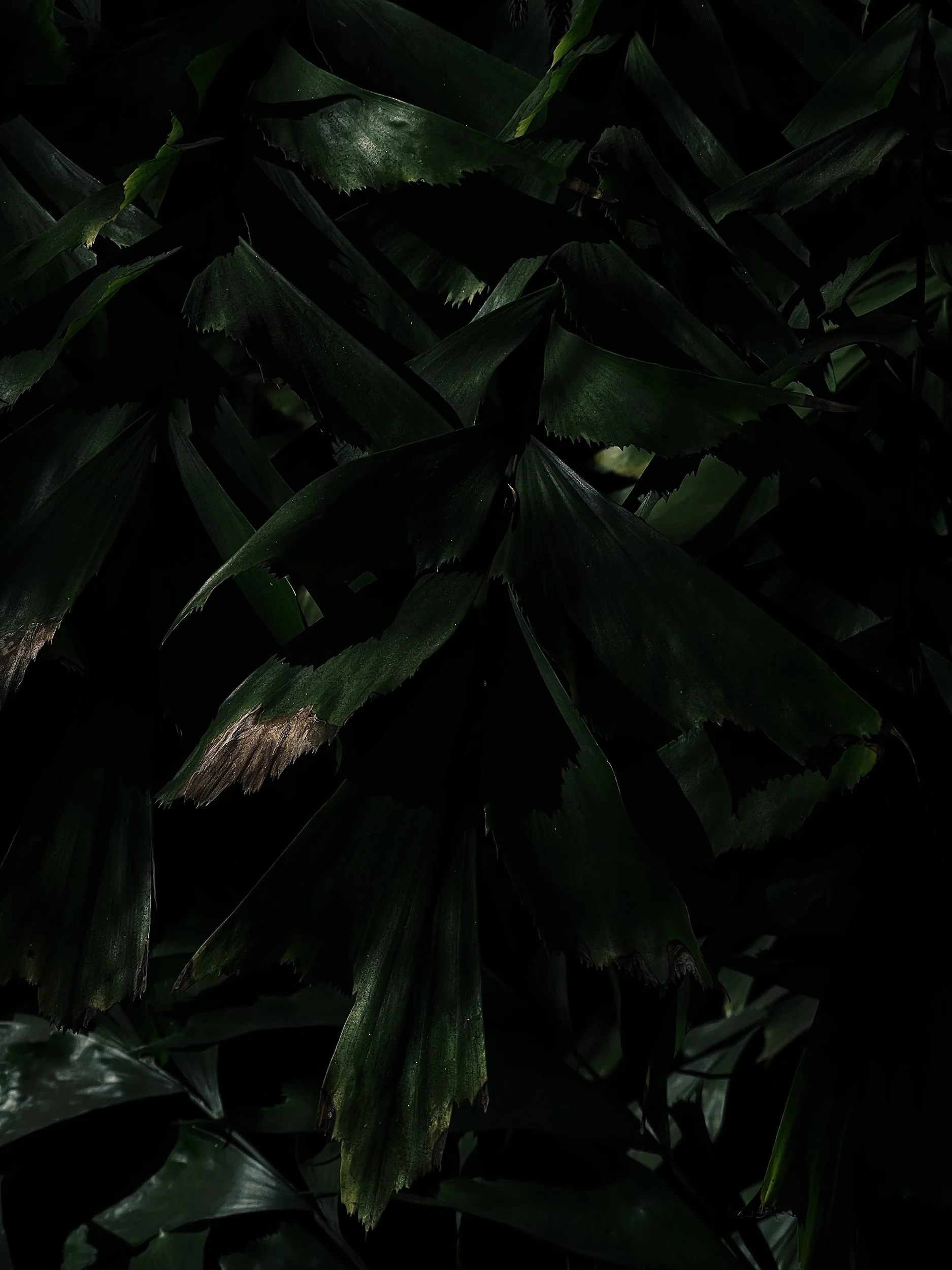 Missing Pieces-109.JPG