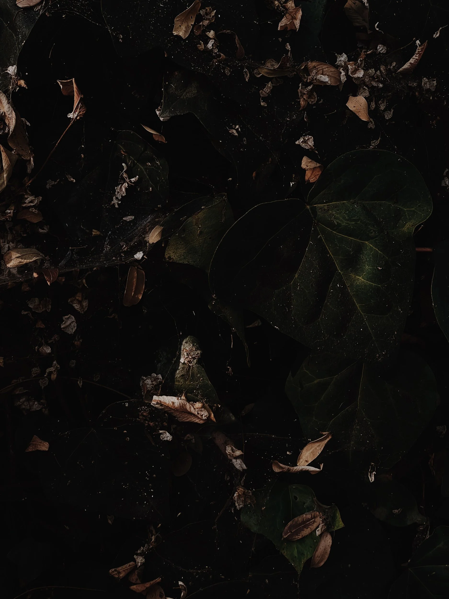 Missing Pieces-113.JPG