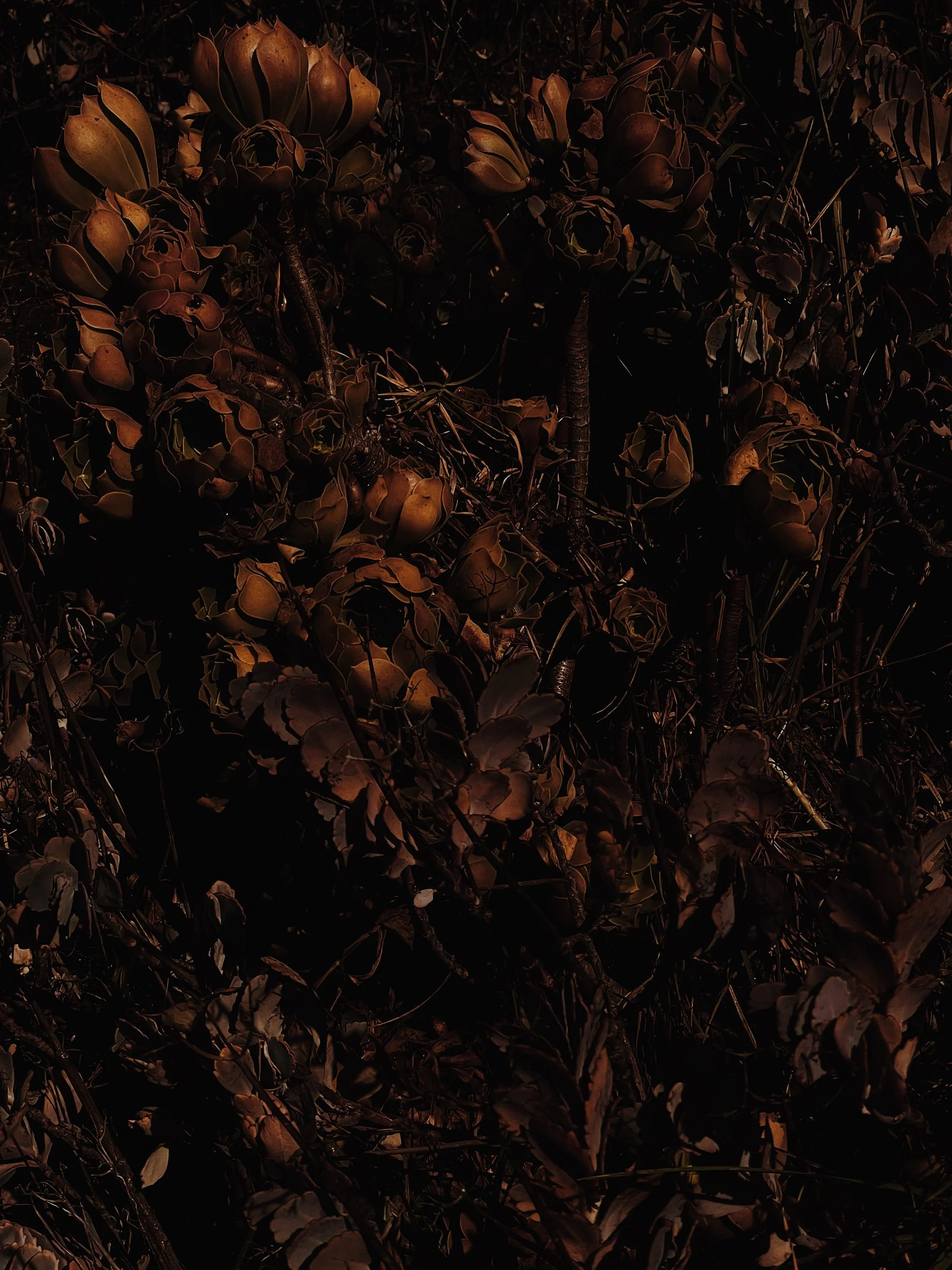 Missing Pieces-130.JPG