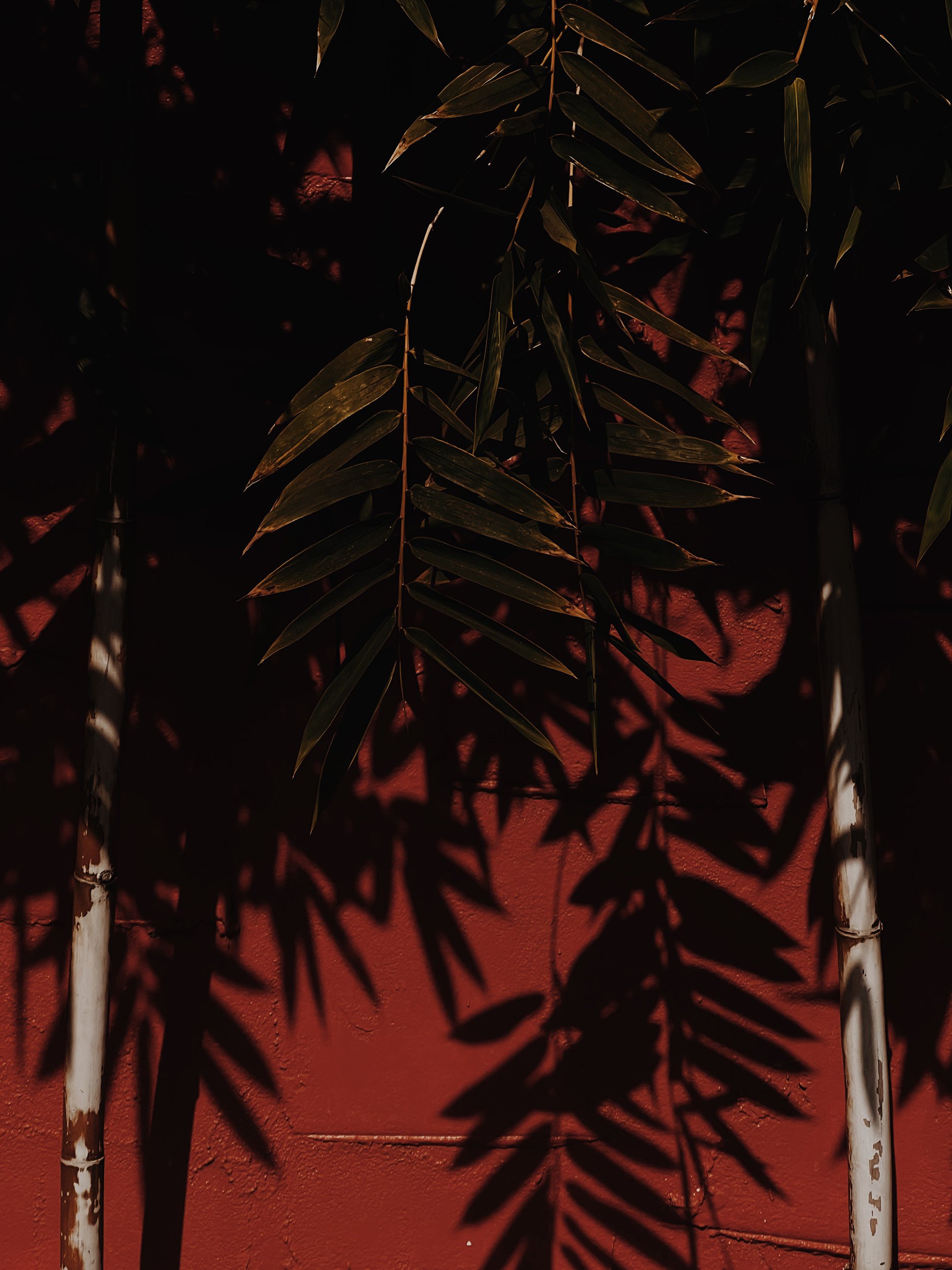 Missing Pieces-131.JPG