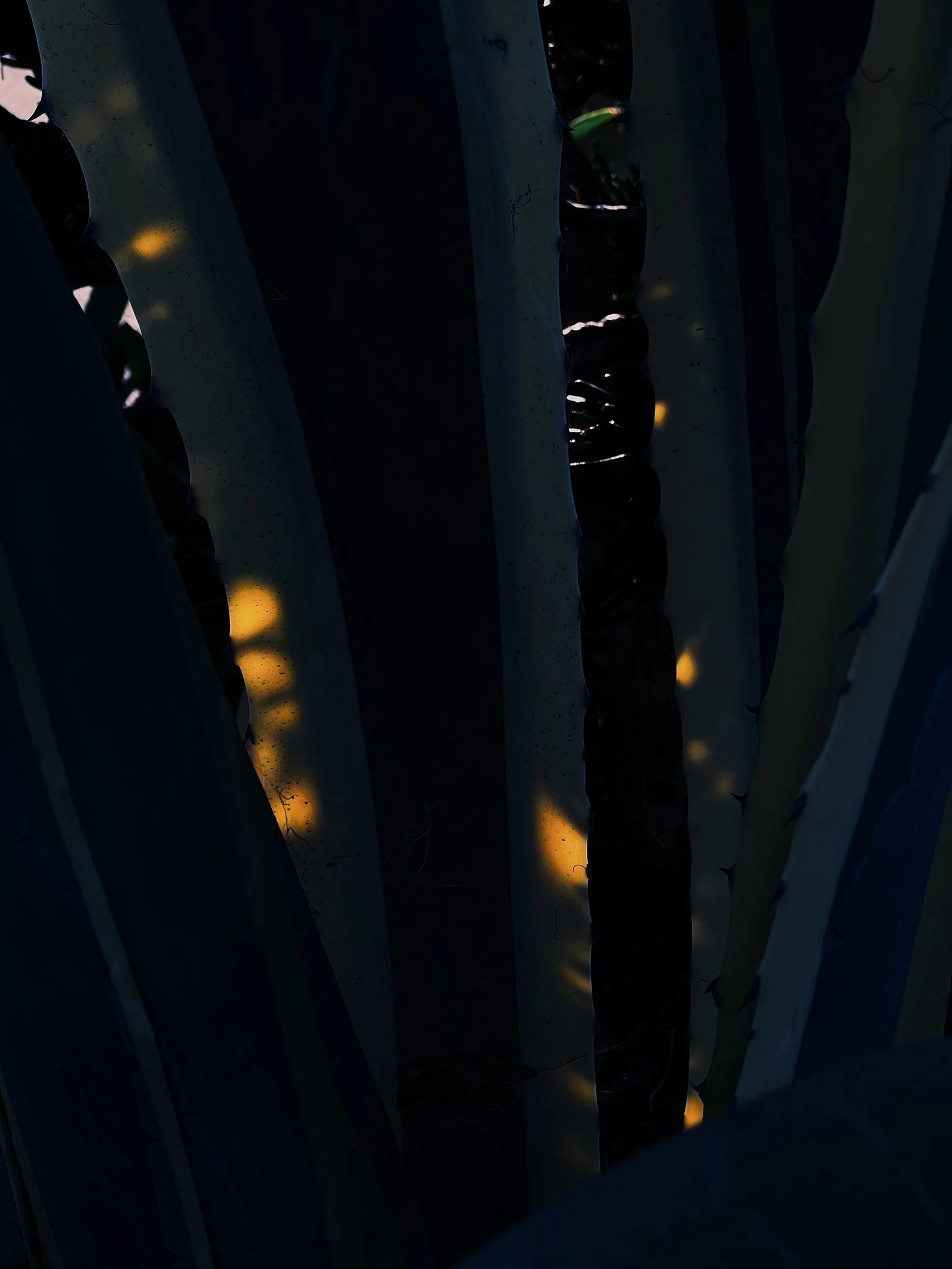 Missing Pieces-135.JPG